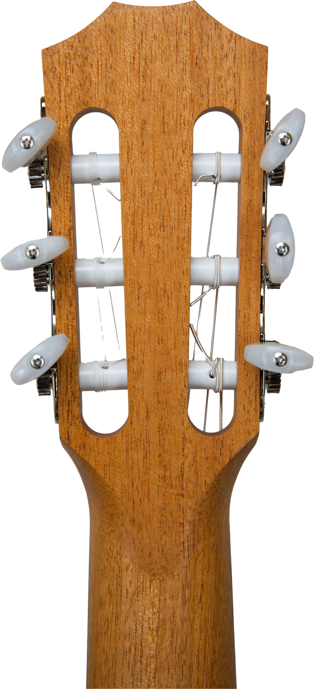 Taylor Academy 12e N