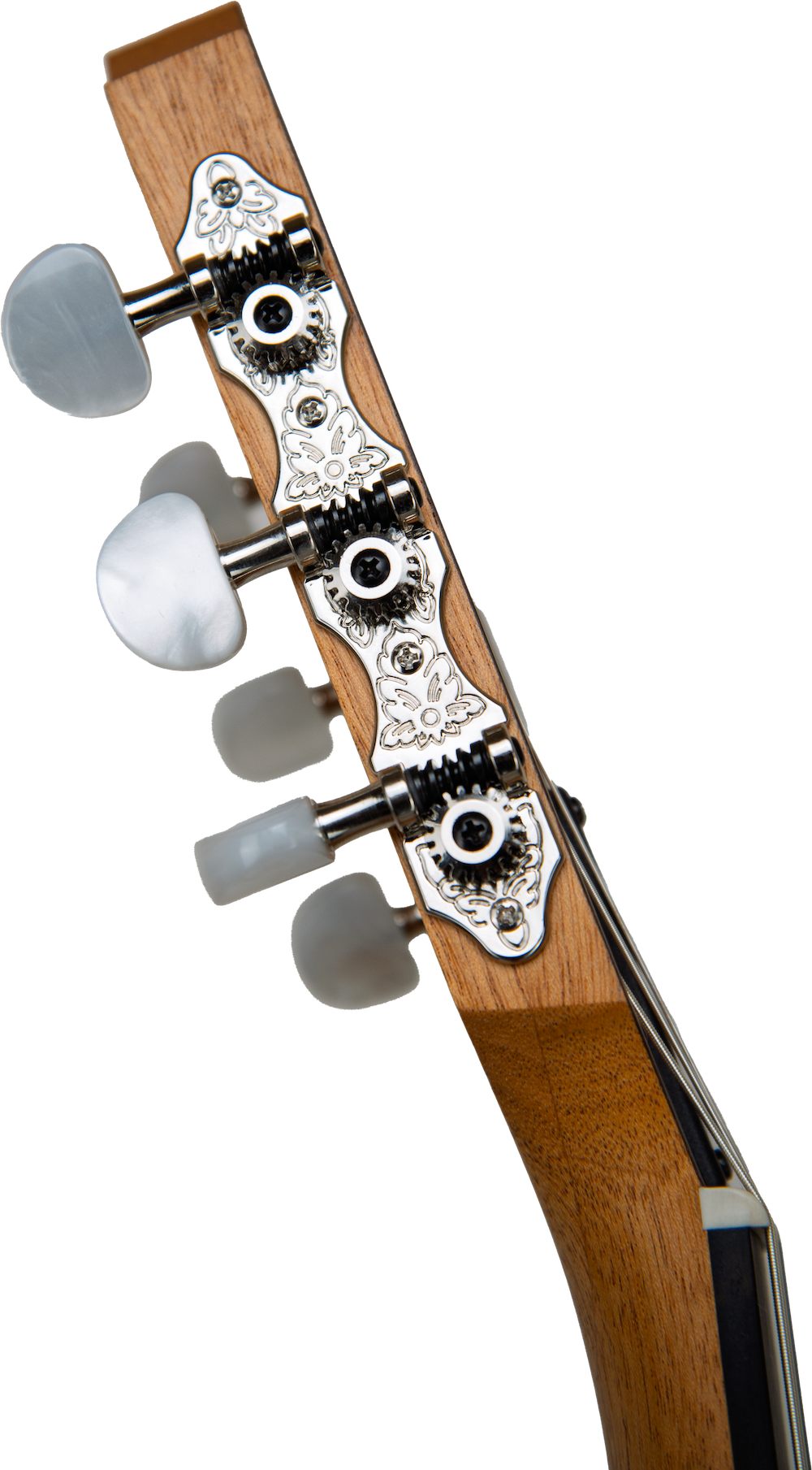 Taylor Academy 12e N