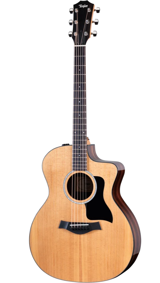 Taylor 214ce Plus (#2207316144) — front view, upright