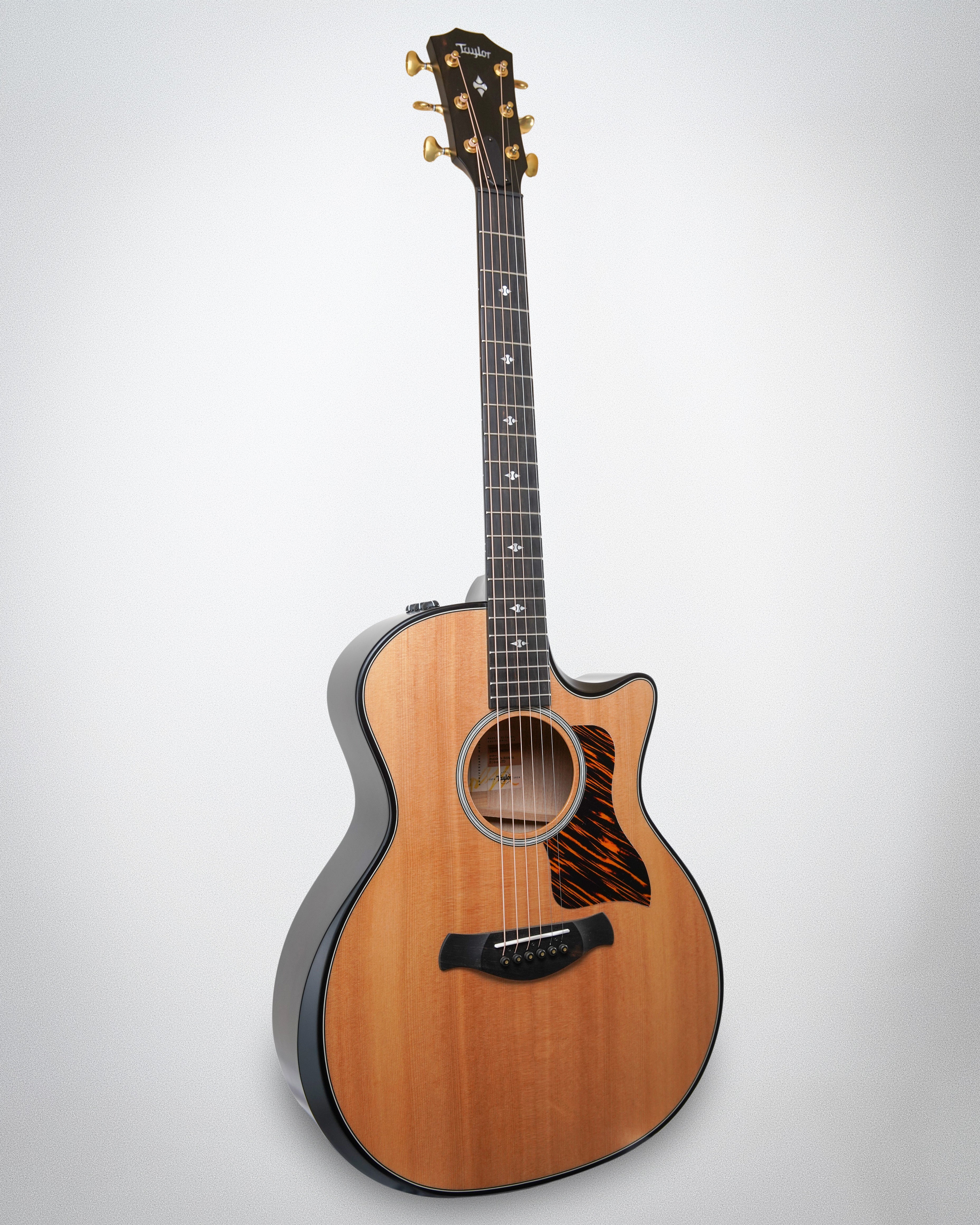Taylor 314ce Builder's Edition LTD 50th Anniversary (#1207154028)