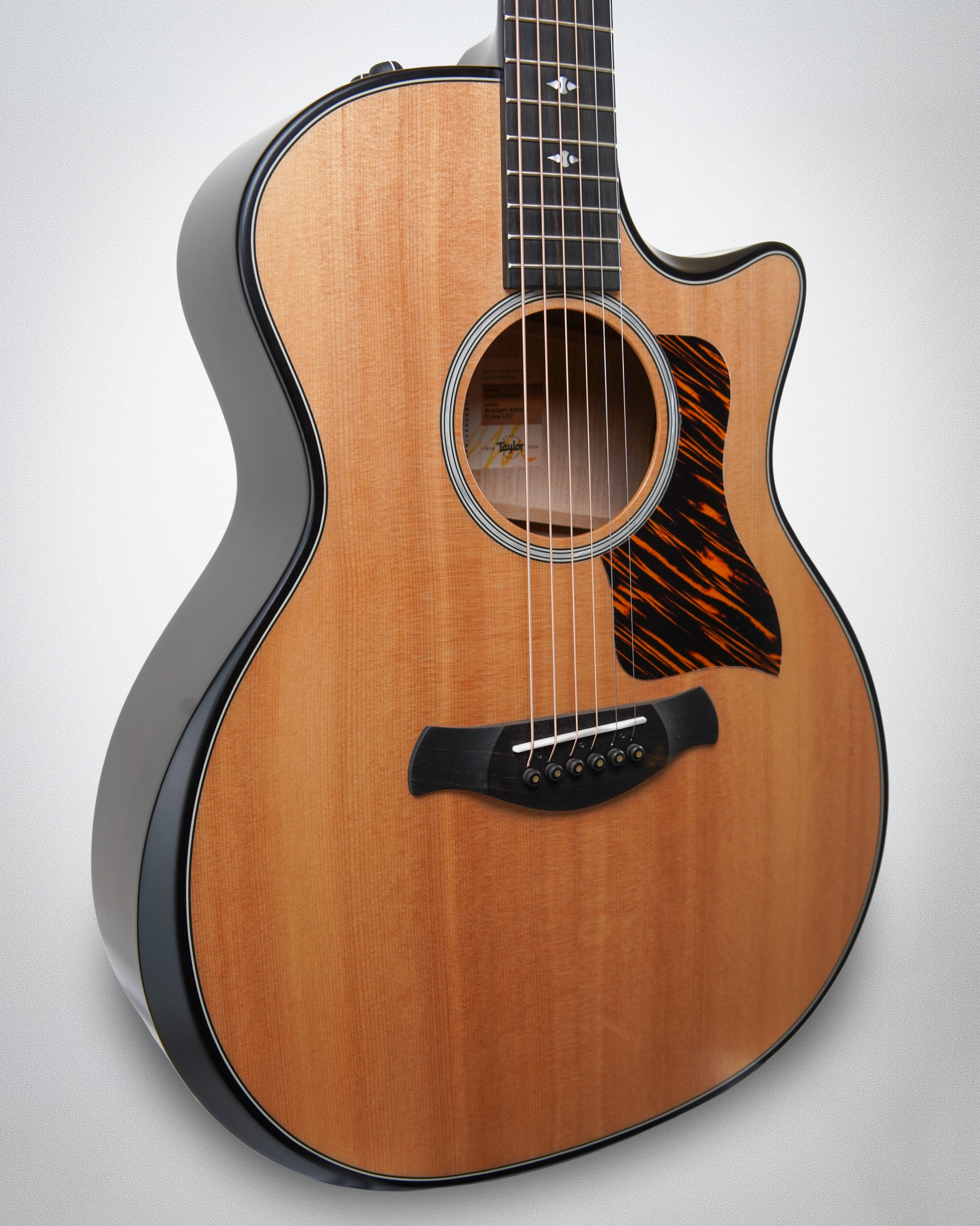 Taylor 314ce Builder's Edition LTD 50th Anniversary (#1207154028)