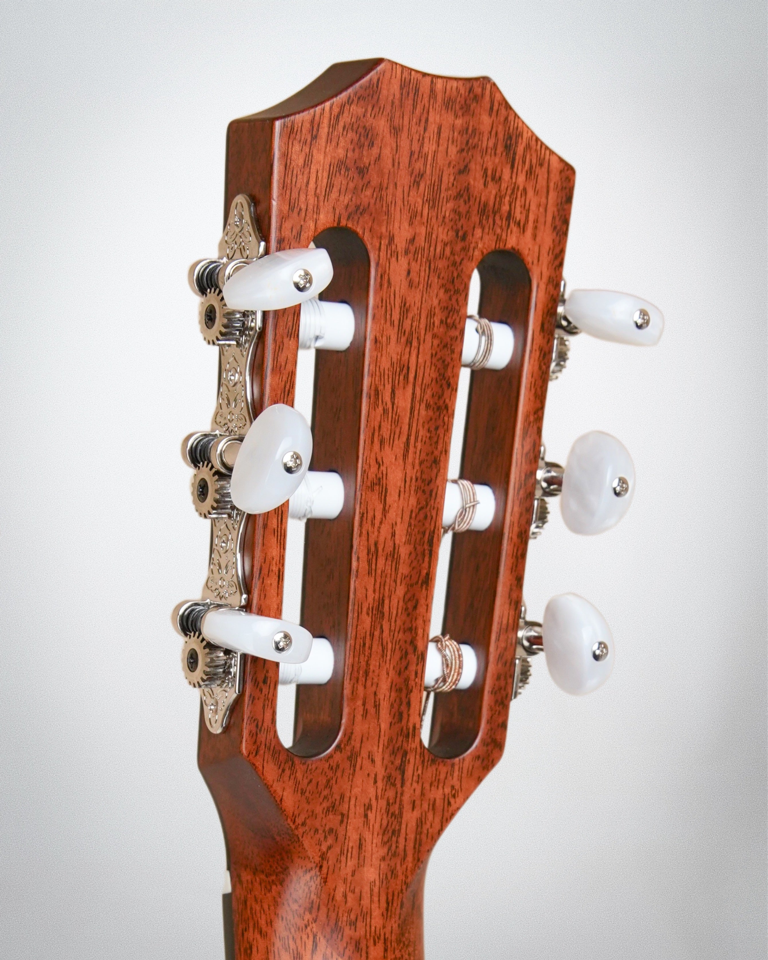 2023 Taylor 314ce-N (#1207123013)
