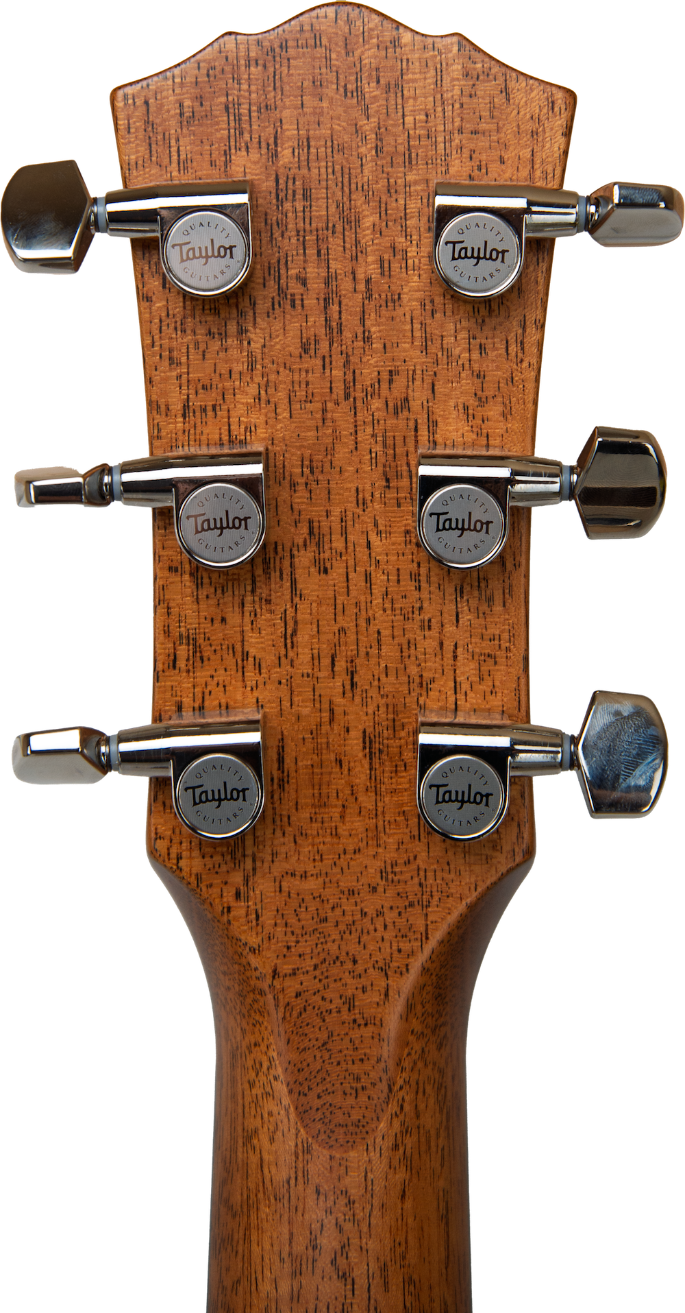 Taylor Gold Label 717e