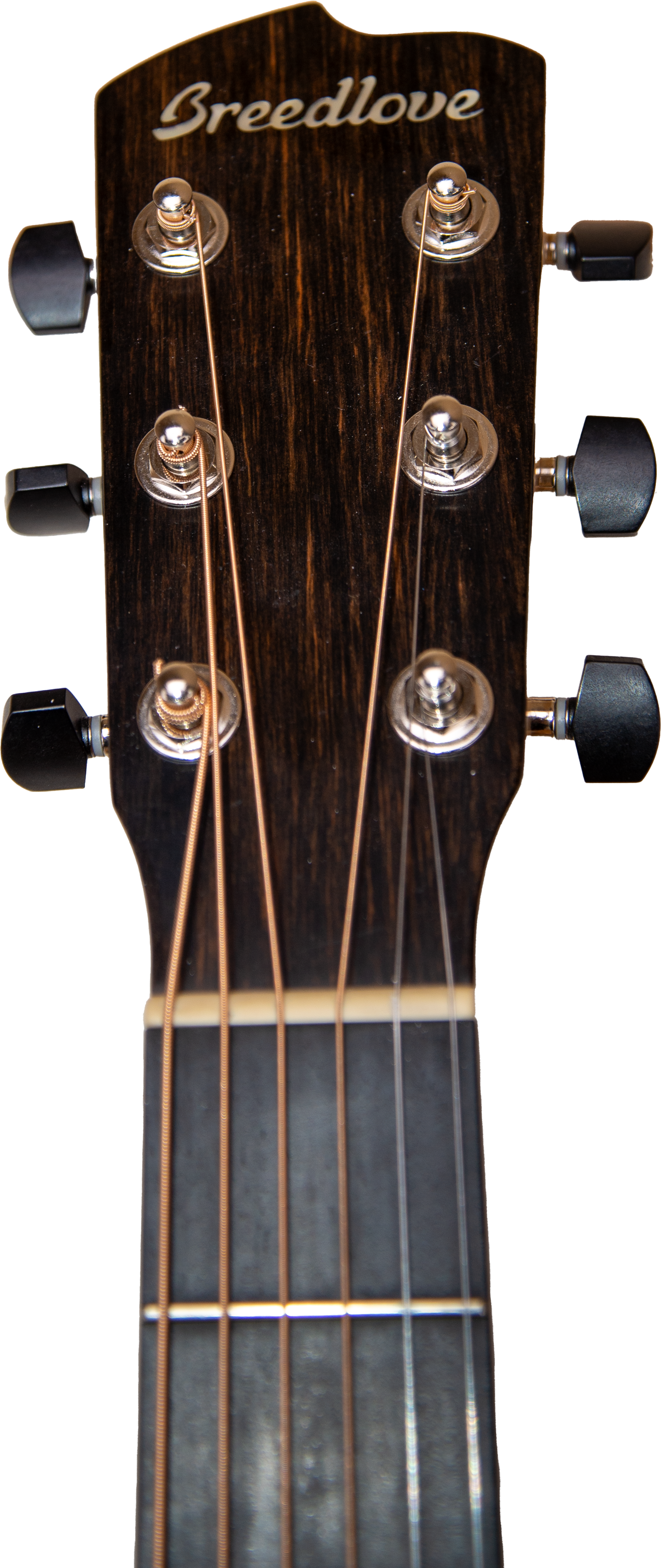 Breedlove Oregon Concerto E