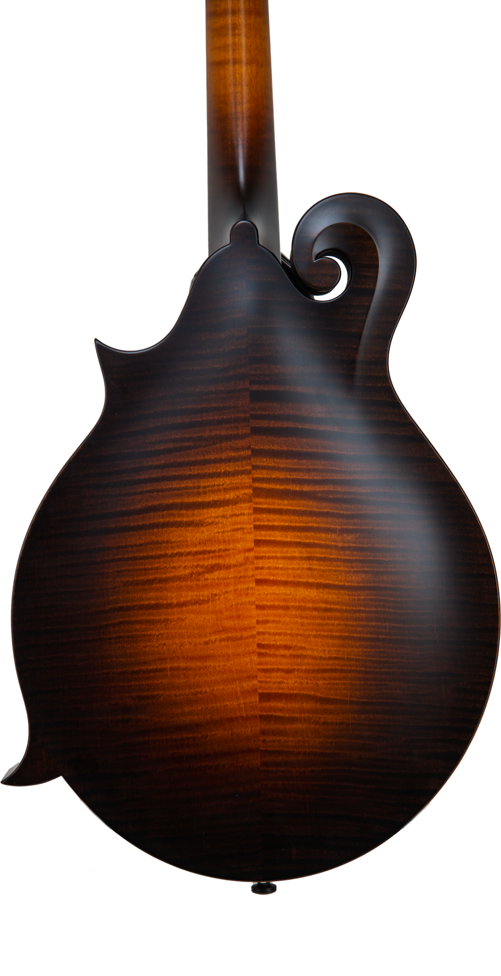 2024 Collings MF Deluxe Mandolin - Satin nitrocellulose lacquer w/ gloss top