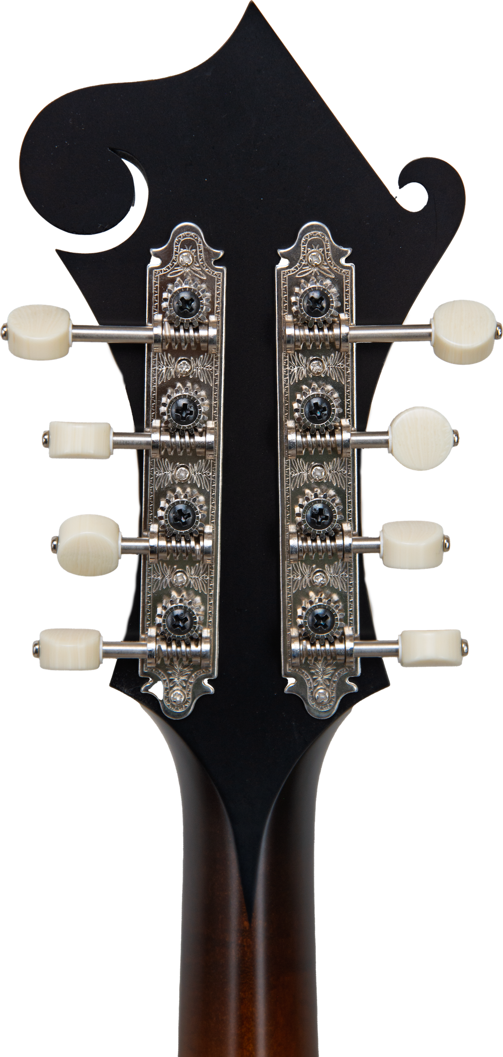 2024 Collings MF Deluxe Mandolin - Satin nitrocellulose lacquer w/ gloss top