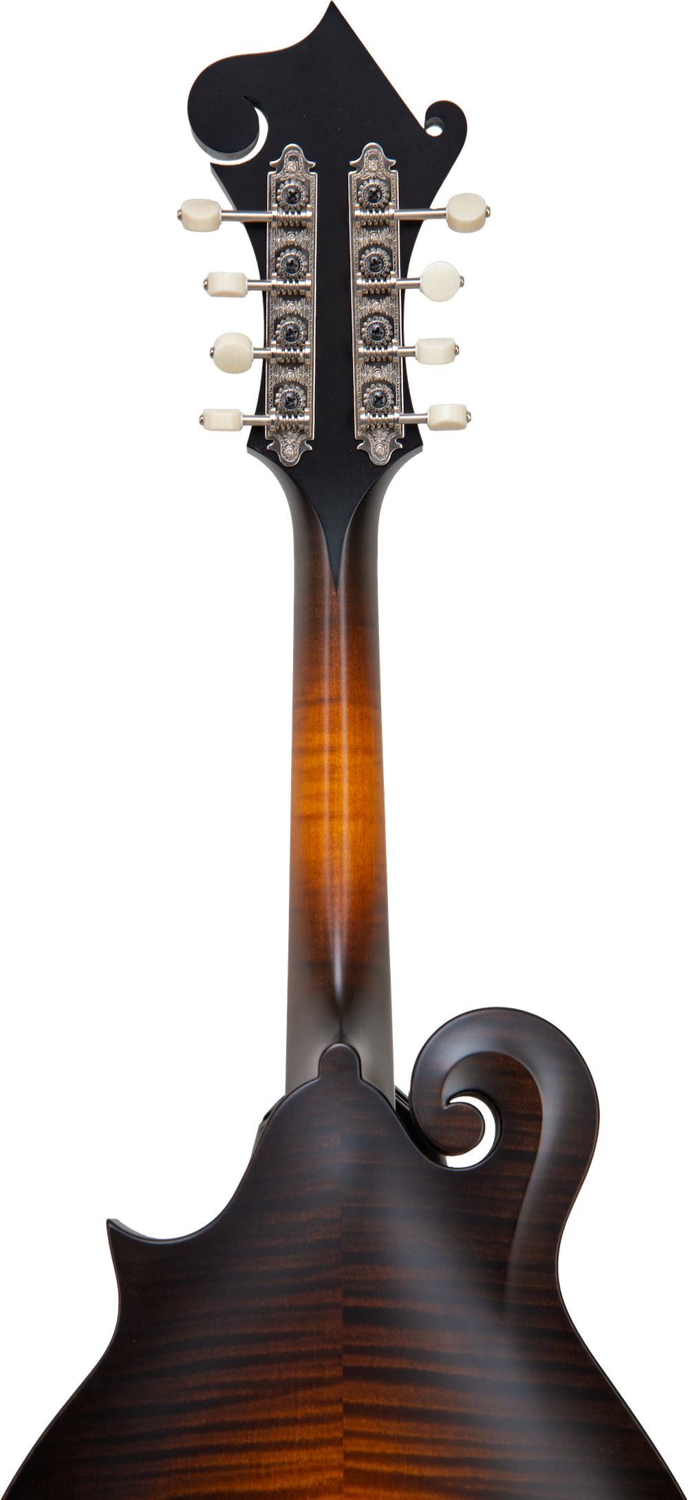 2024 Collings MF Deluxe Mandolin - Satin nitrocellulose lacquer w/ gloss top