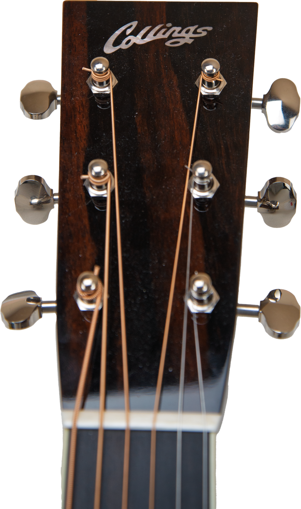 Collings OM2H Cutaway