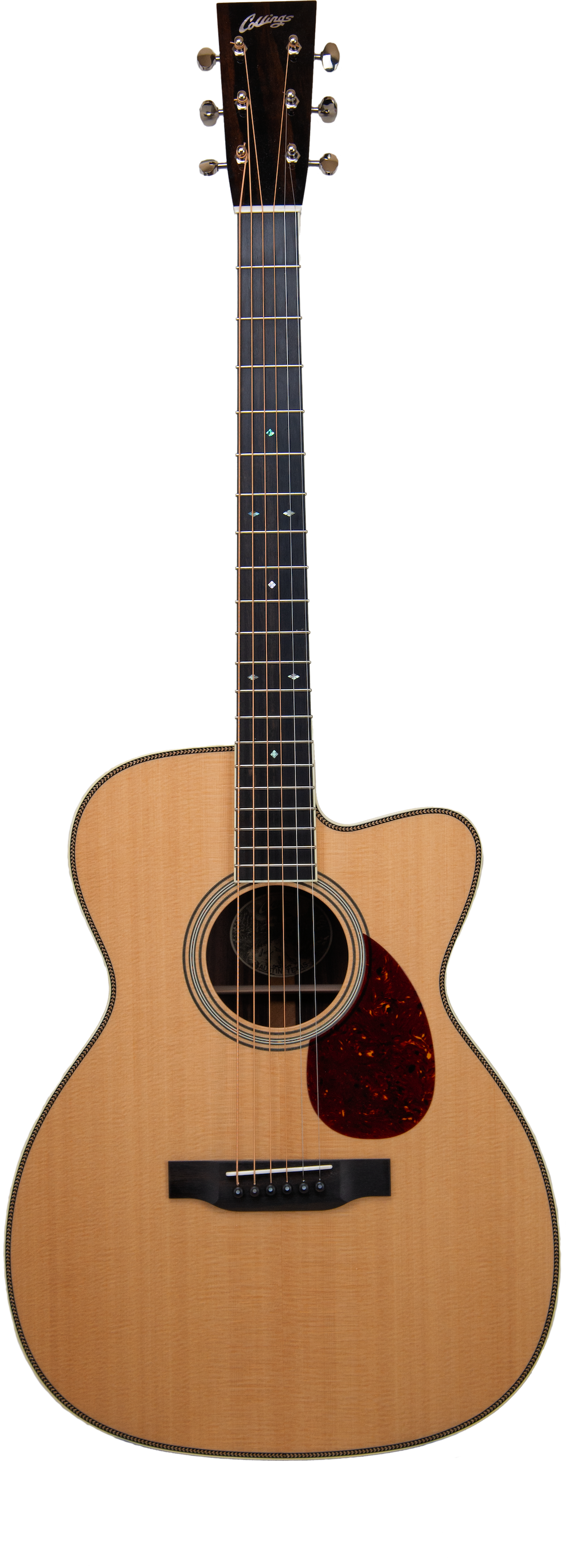 Collings OM2H Cutaway