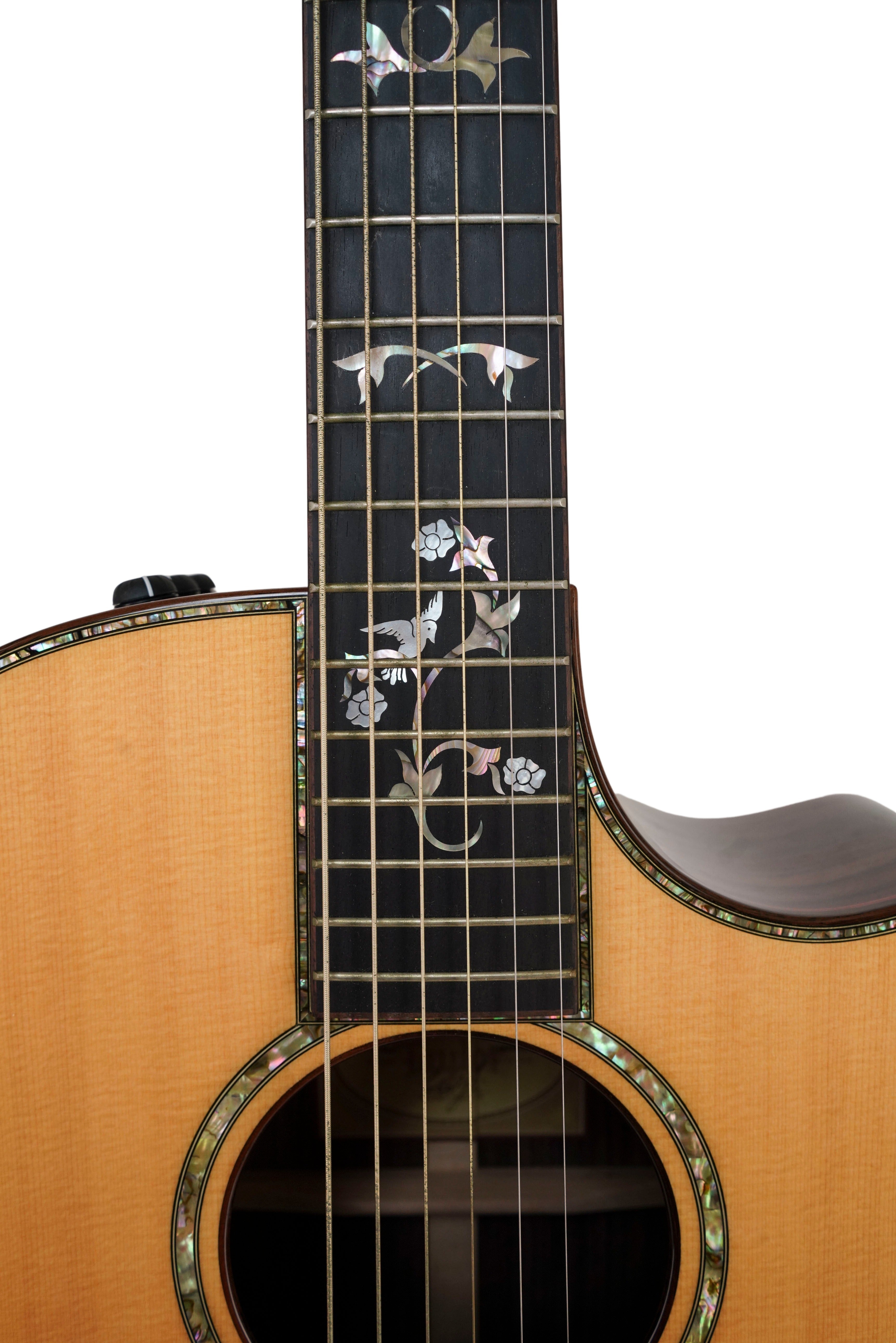 2011 Taylor Builder's Edition 914ce