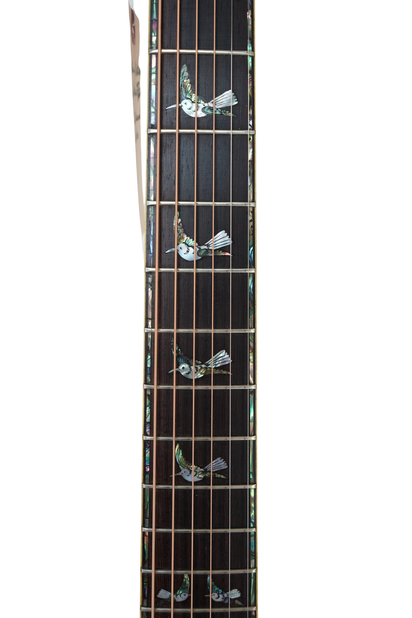 Lepore Dreadnaught