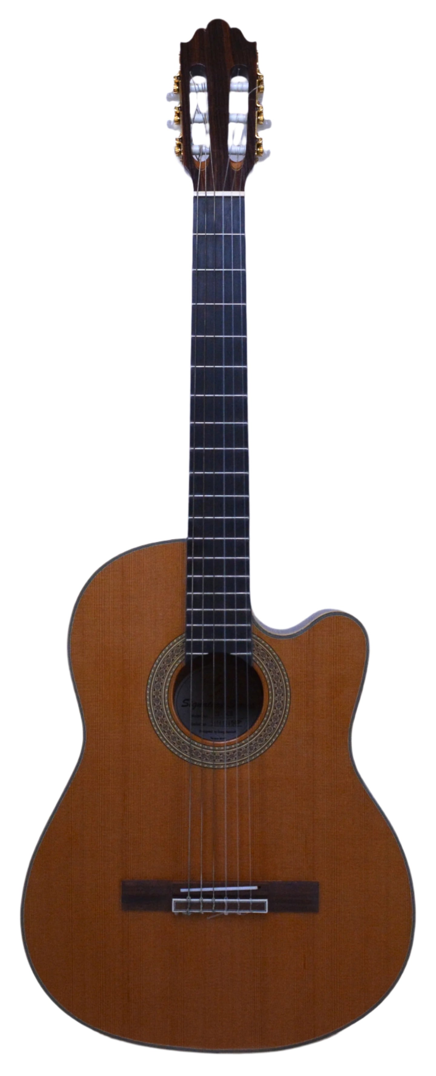 Greg Bennett CT-5ce Nylon String Guitar