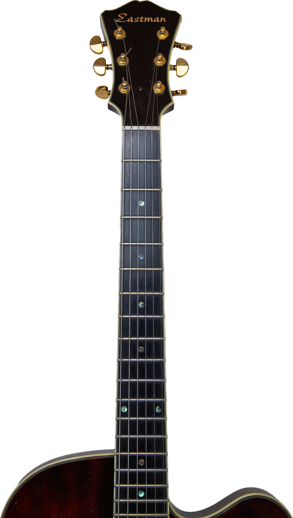 2006 Eastman Thinline 166SX