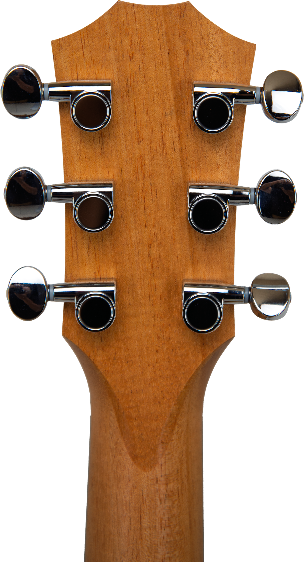 Taylor GS Mini-e Rosewood SB