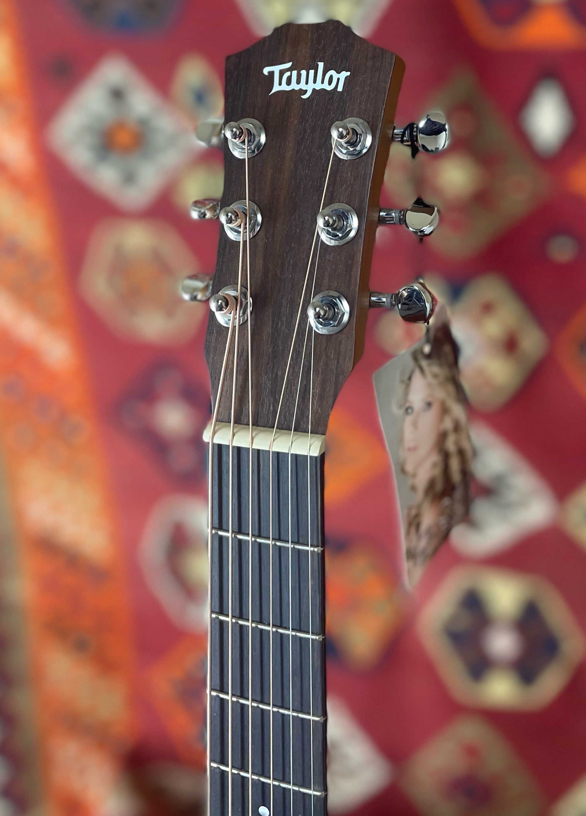 Taylor TS-BT