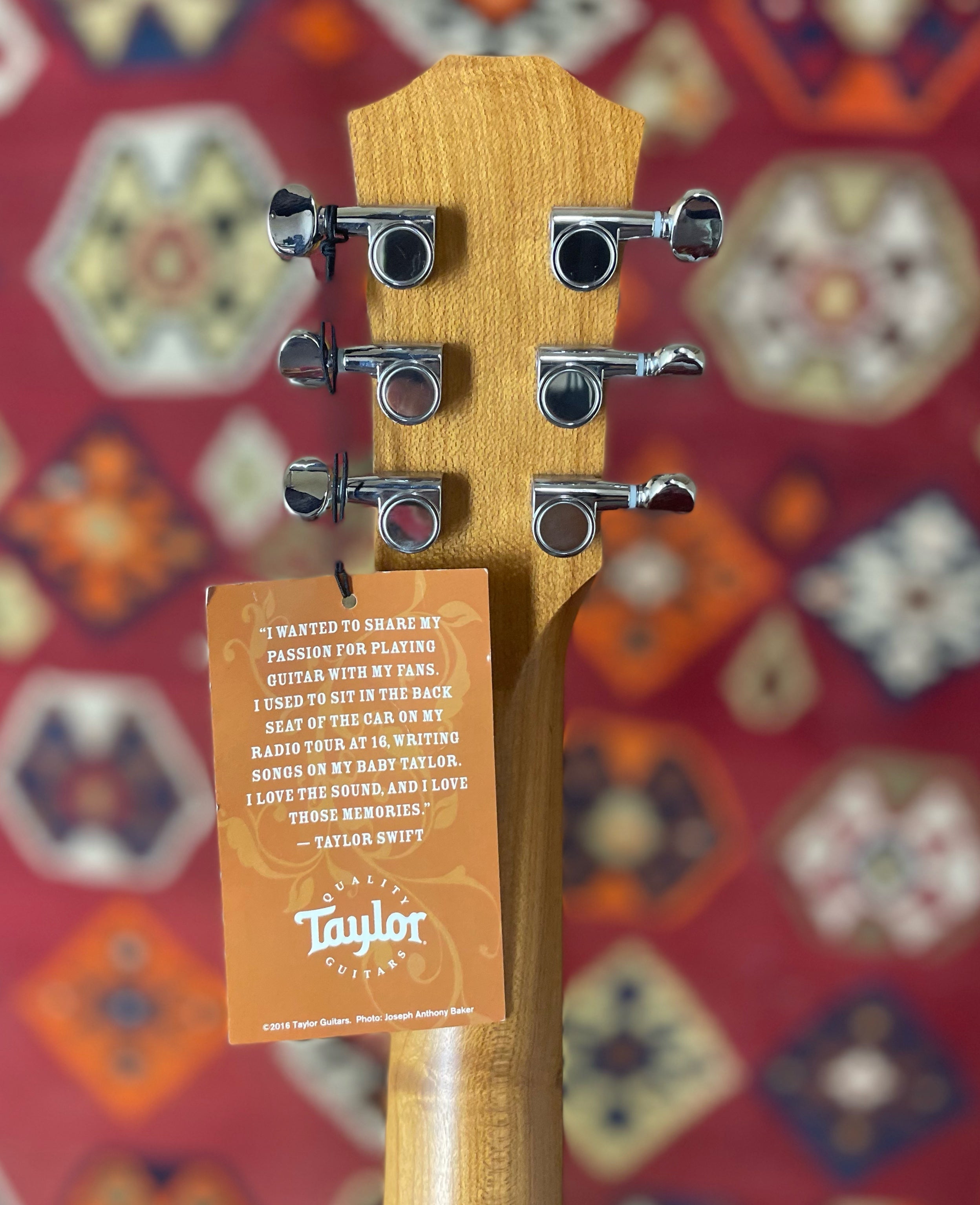 Taylor TS-BT