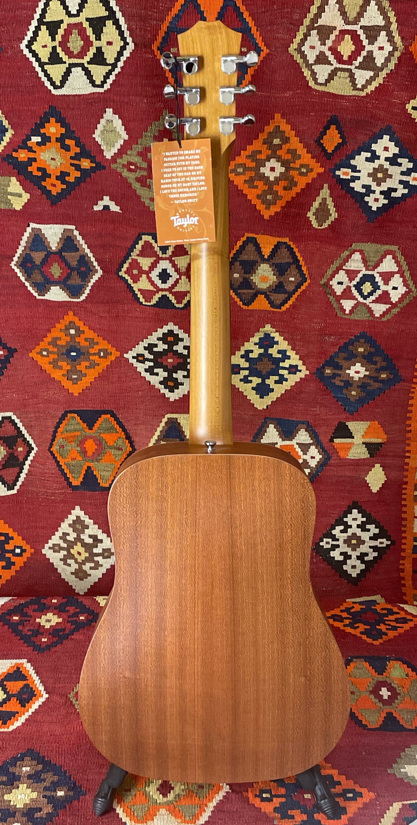 Taylor TS-BT