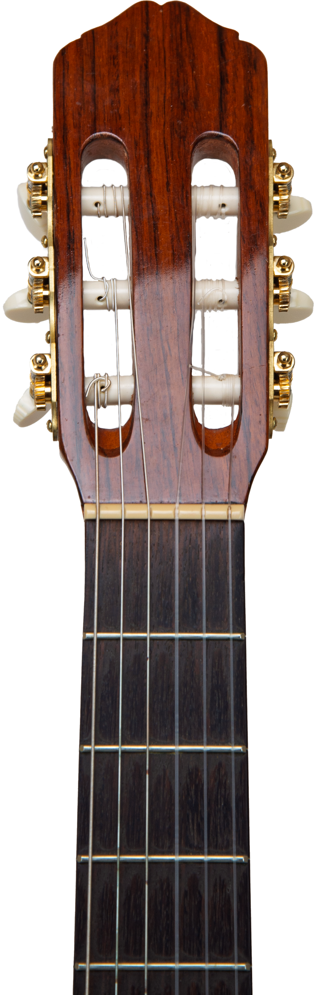 M.G. Contreras Student Guitar Classical Nylon String