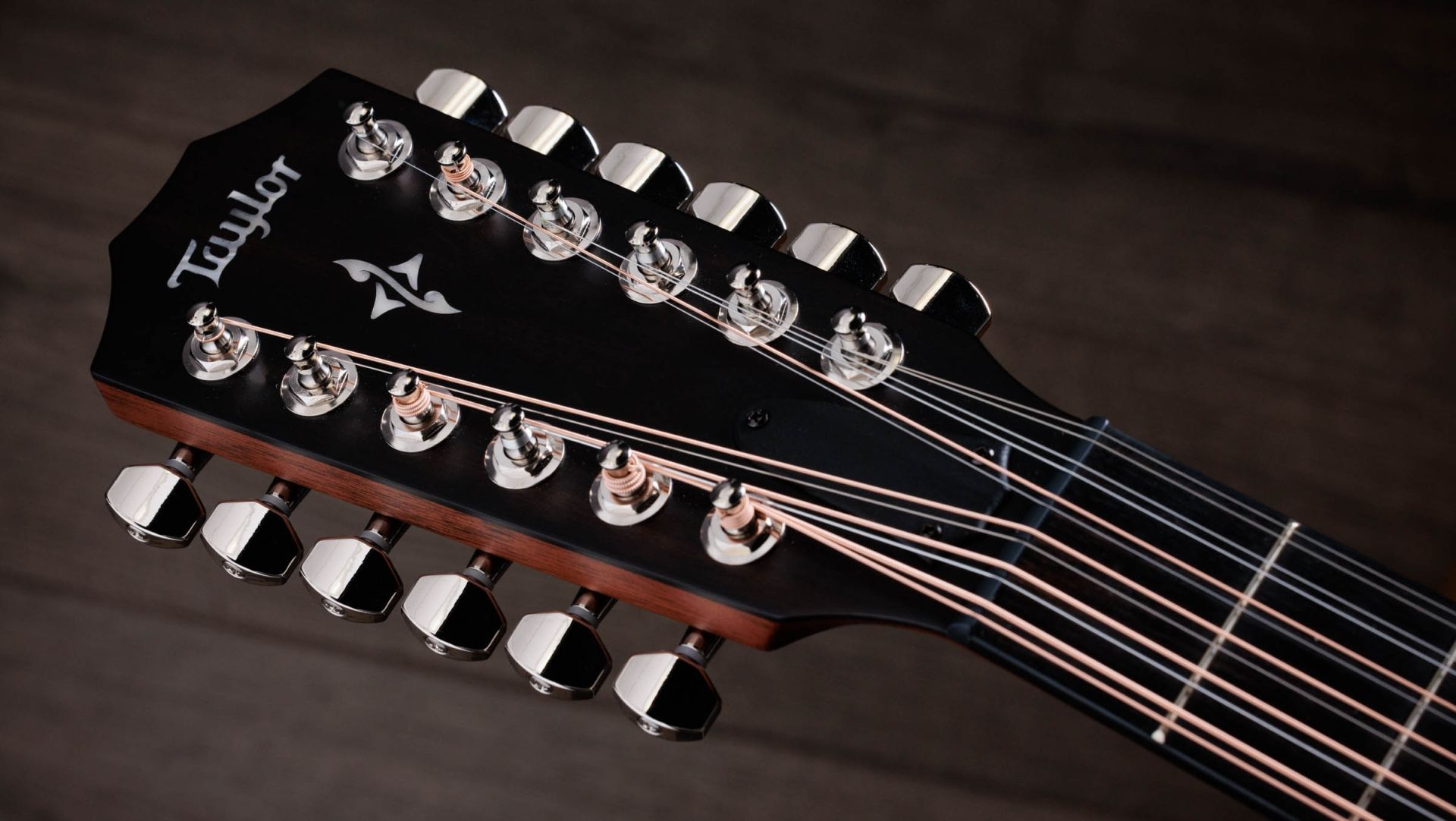 Taylor 454ce-R 12 String