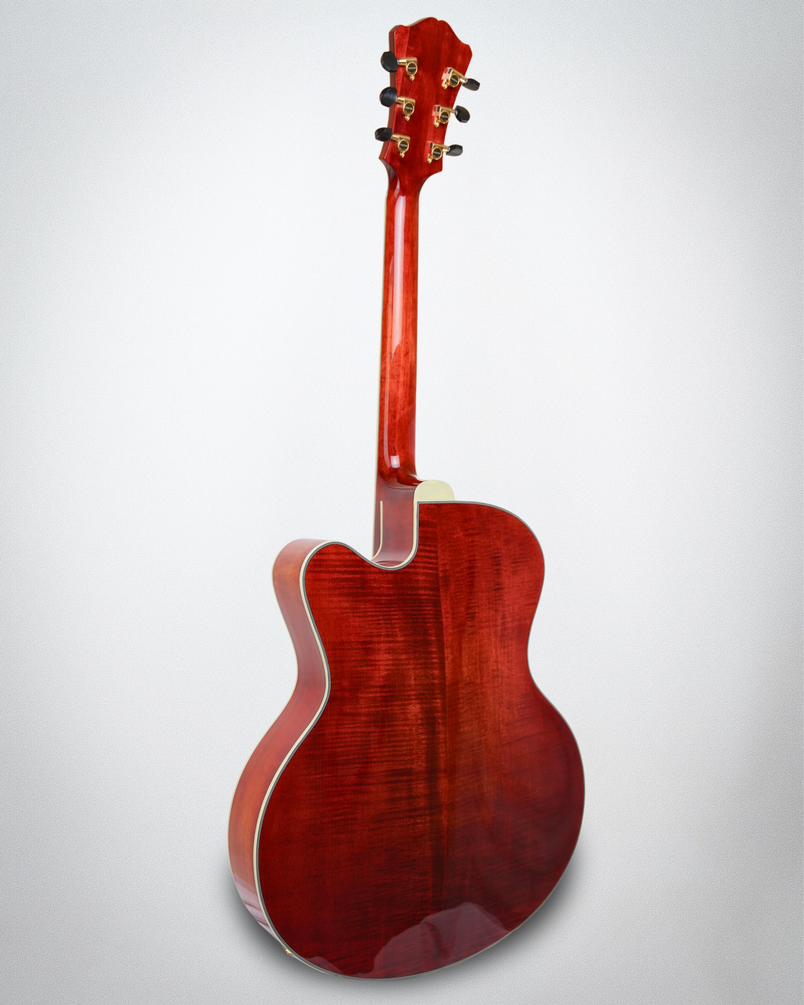 Eastman AR-810ce (#L2300026)