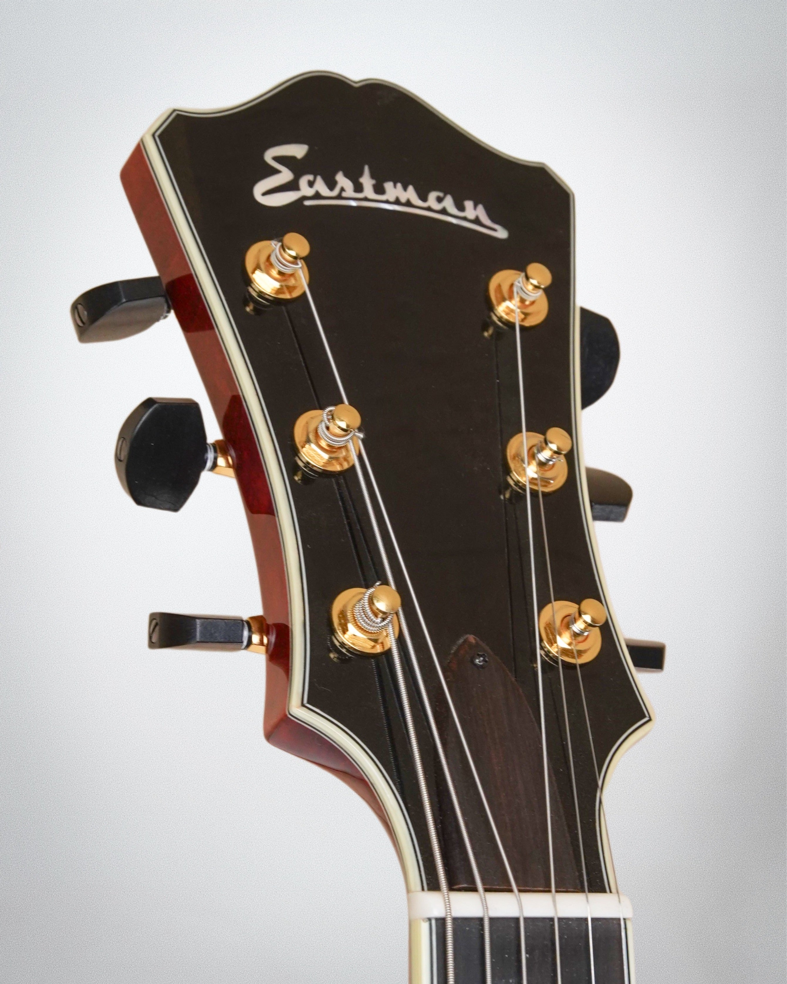 Eastman AR-810ce (#L2300026)