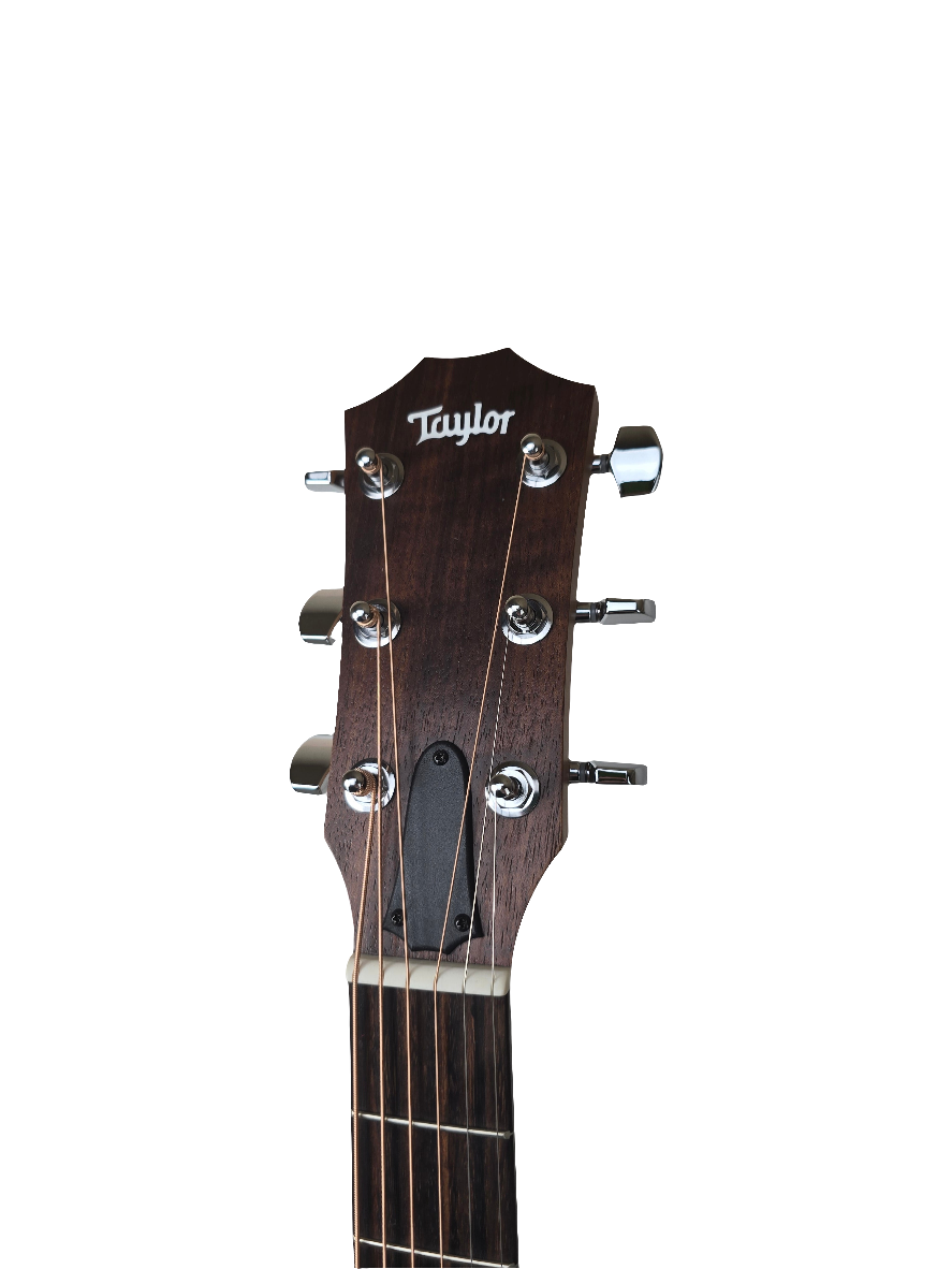 Taylor Academy 12e LTD