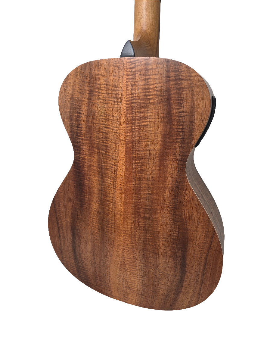 Taylor Academy 12e LTD