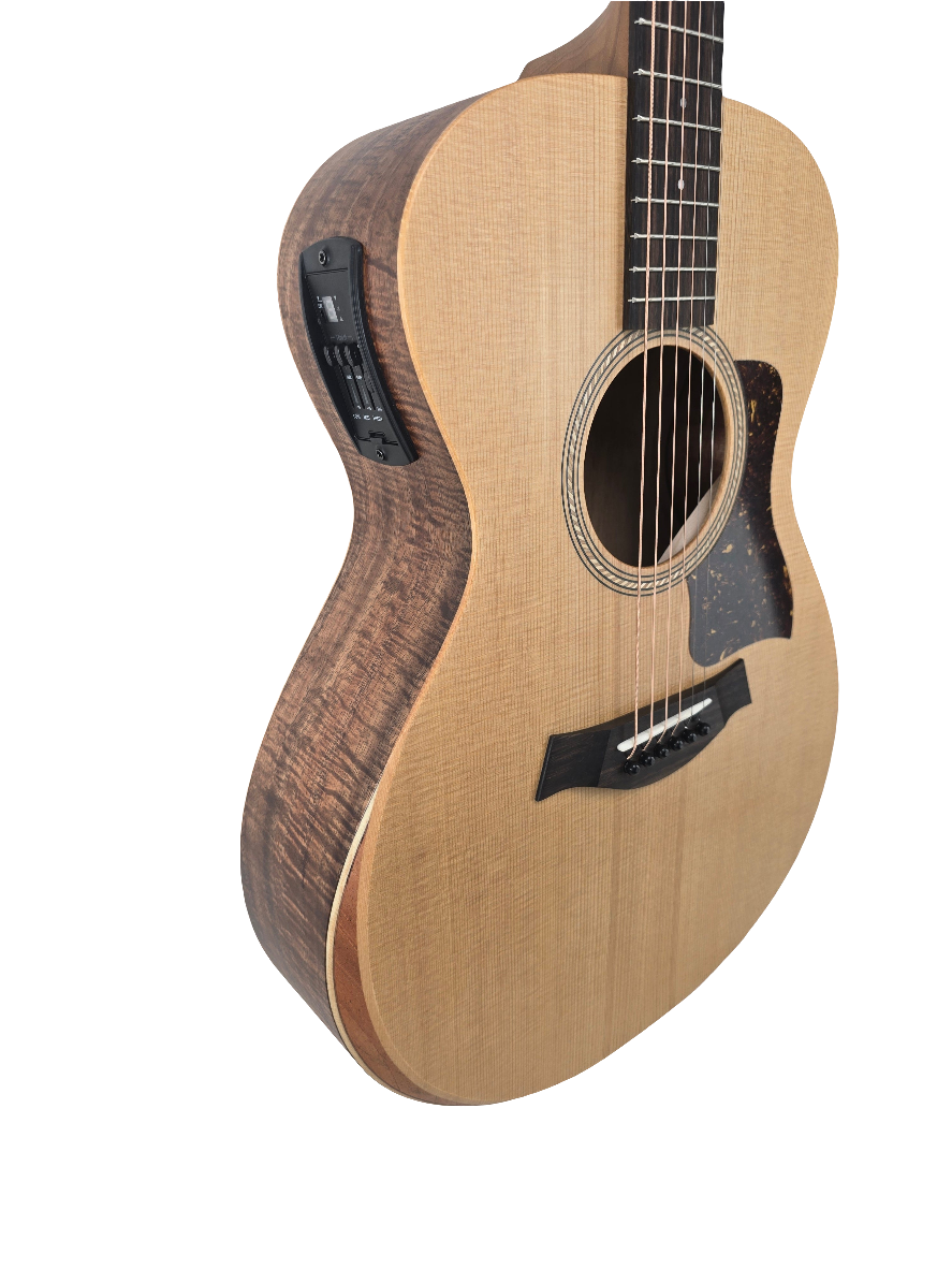 Taylor Academy 12e LTD