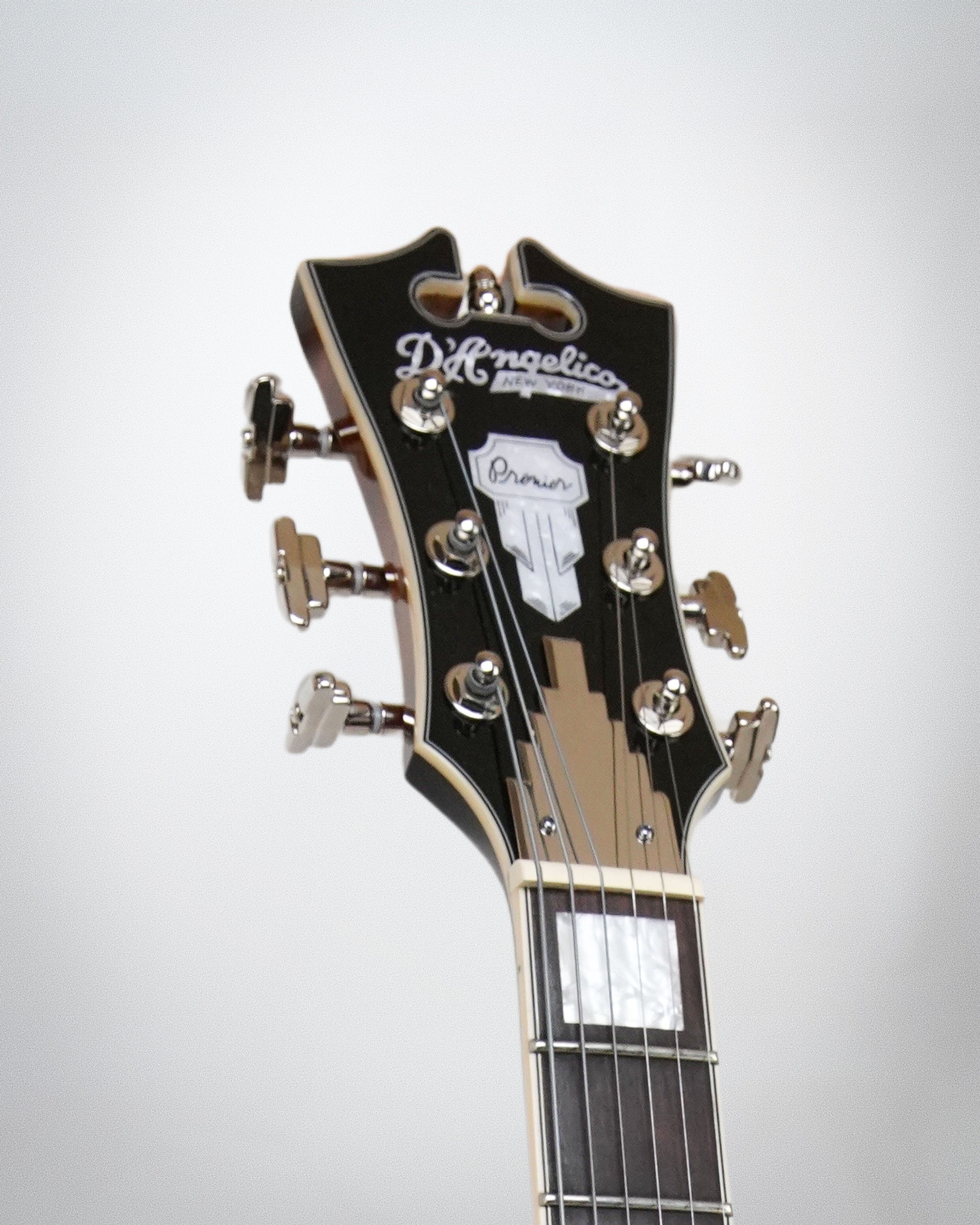 D'Angelico Premier Mini DC