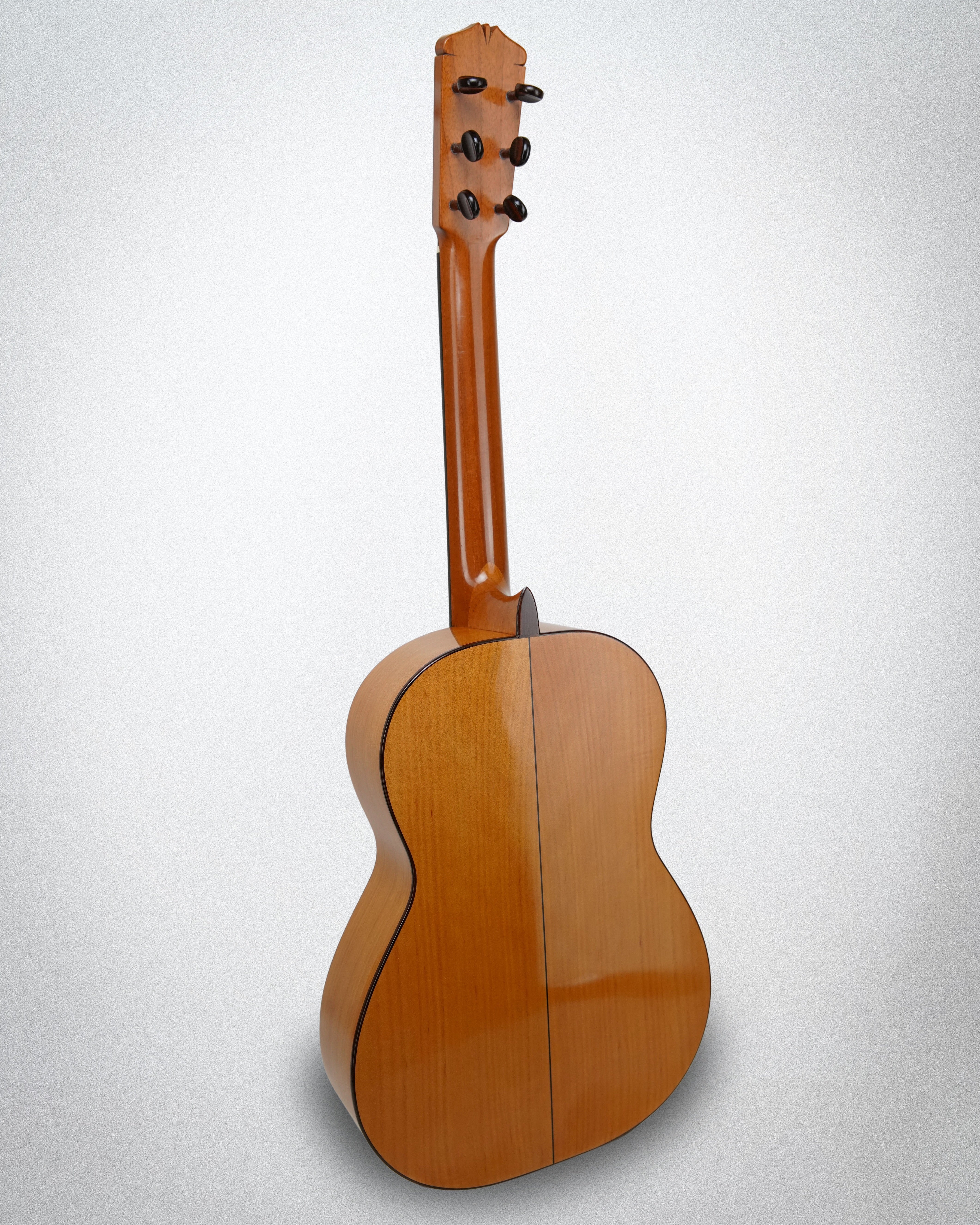 Eugene Clark Flamenco 2006