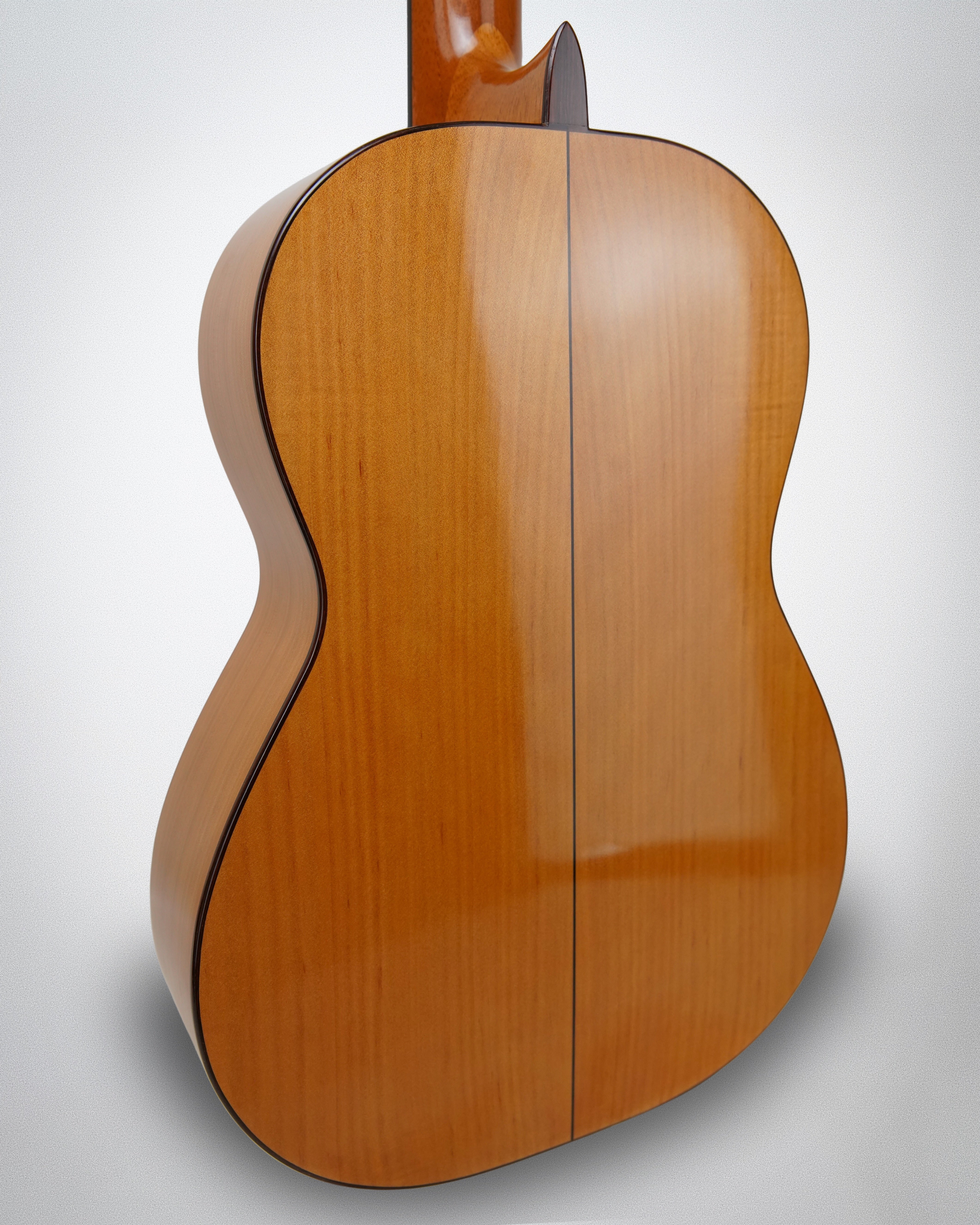 Eugene Clark Flamenco 2006