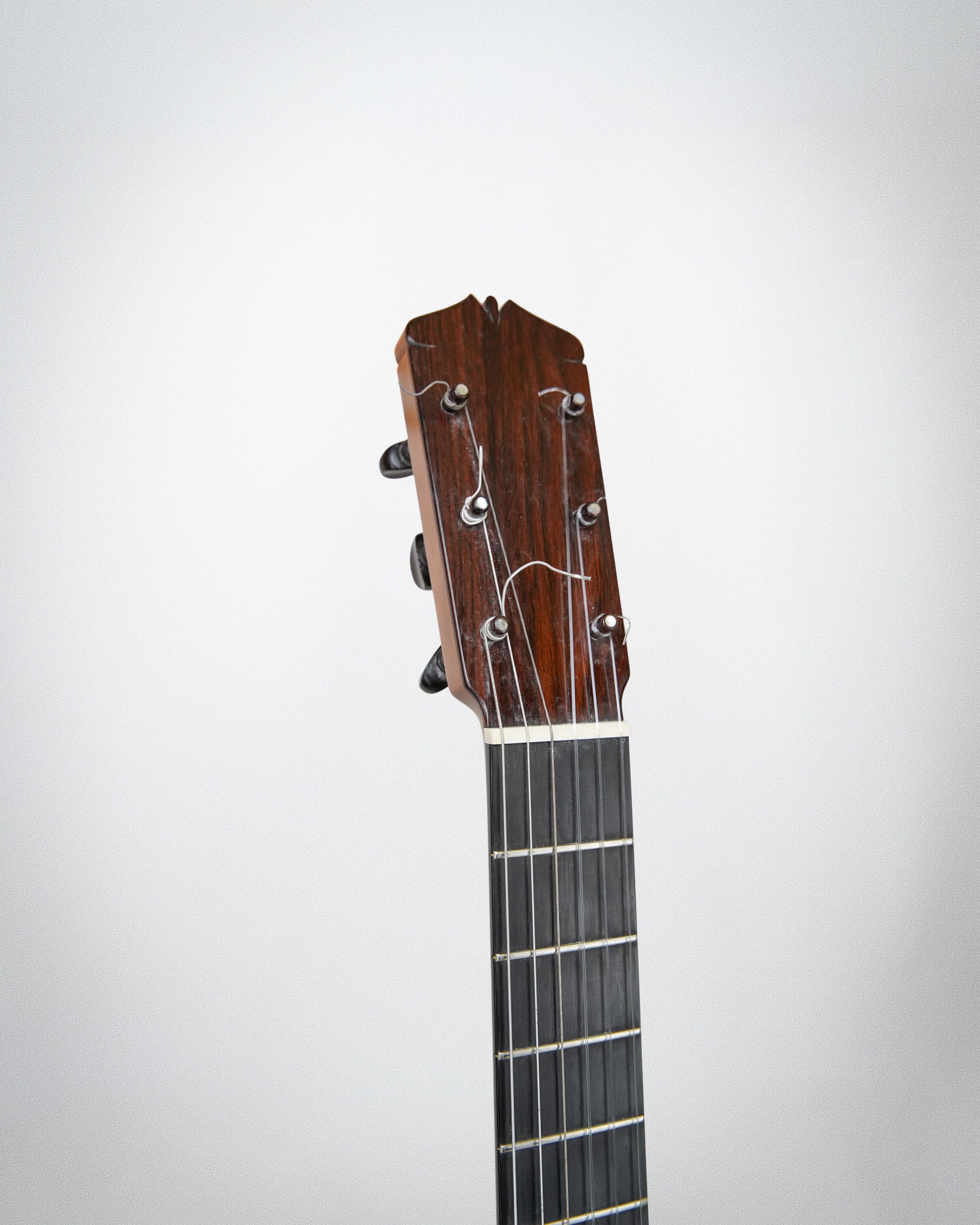 Eugene Clark Flamenco 2006