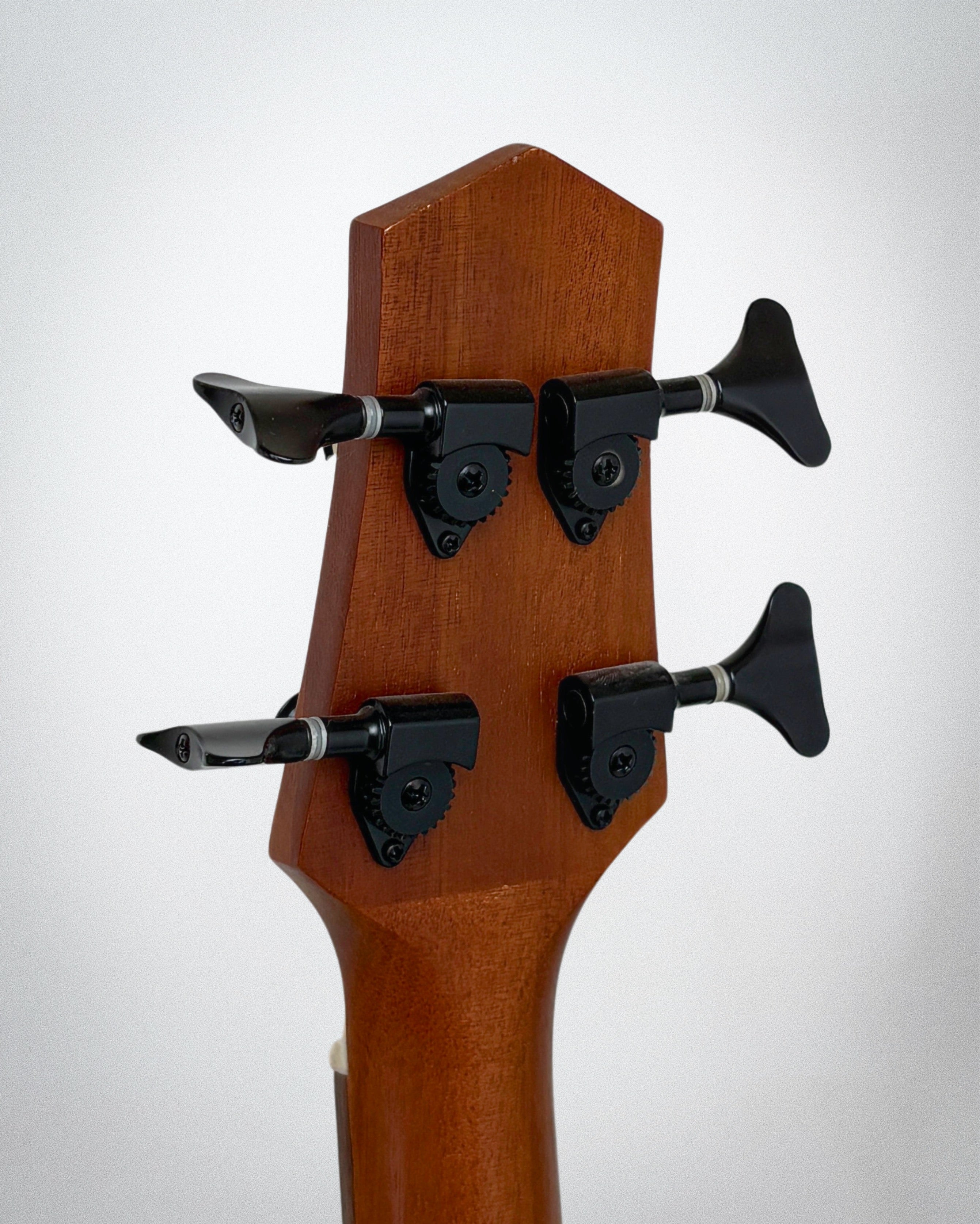 GT Micro Bass M-Bass/FL