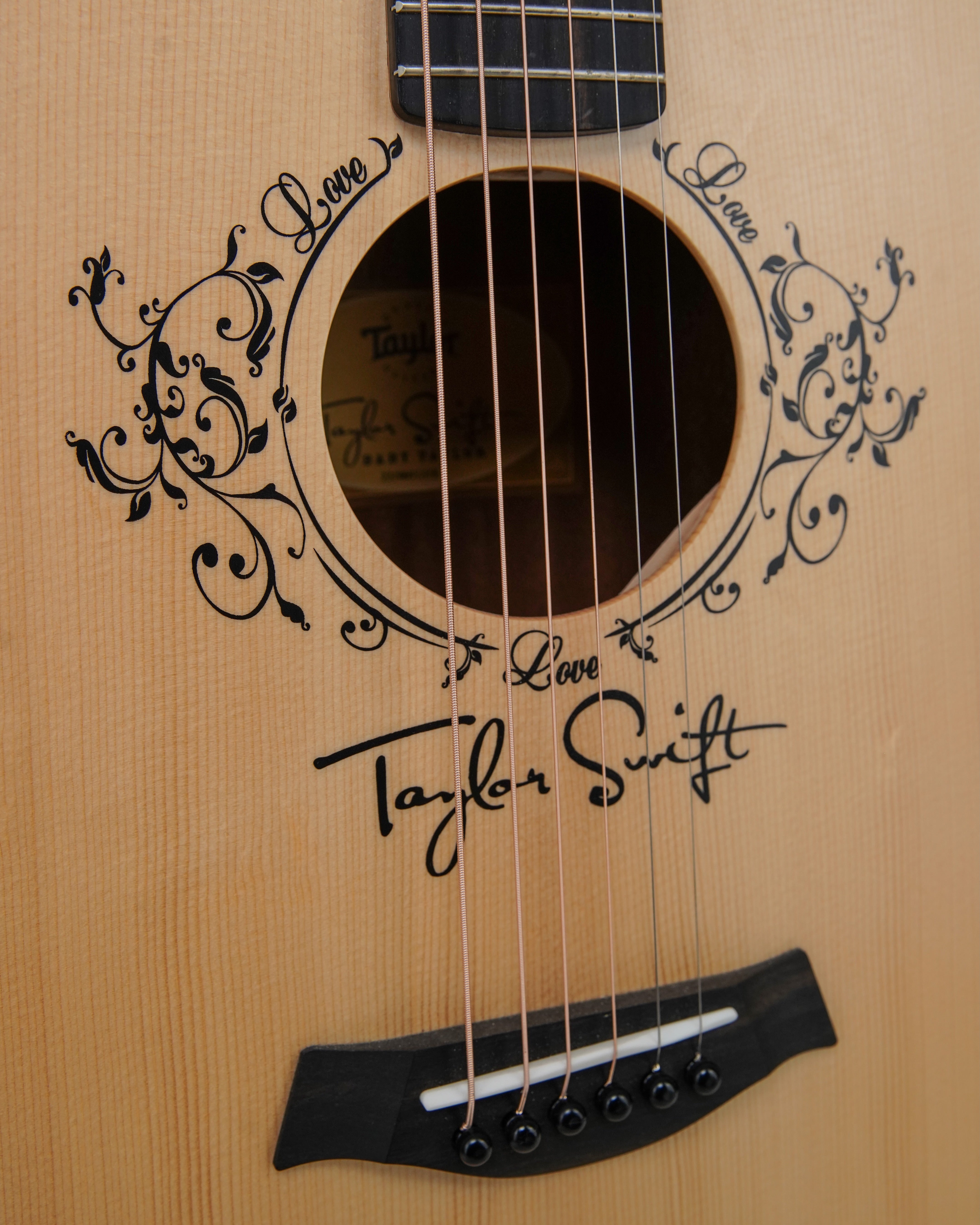 Taylor TS-BT