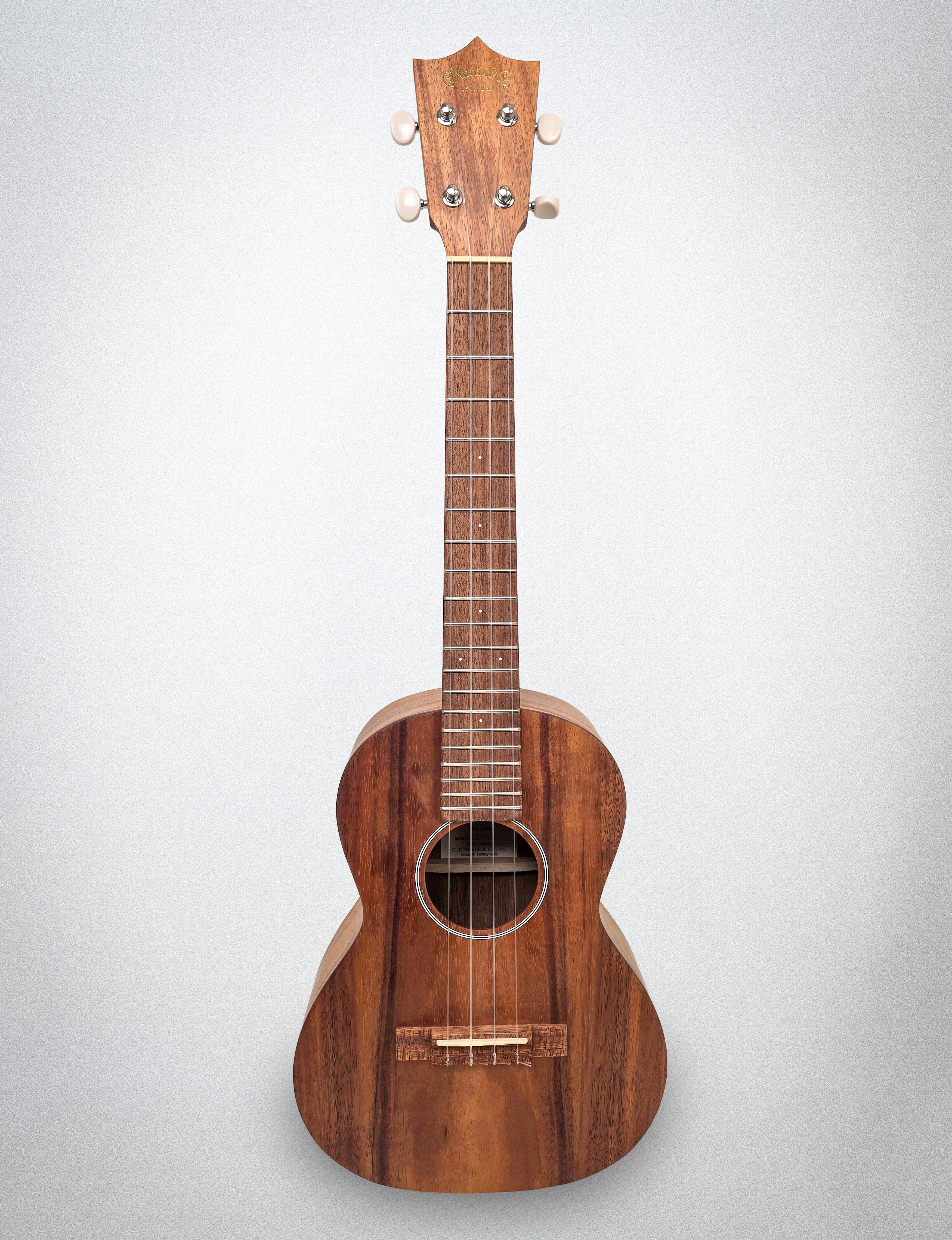 2018 Martin T1K (#20969)