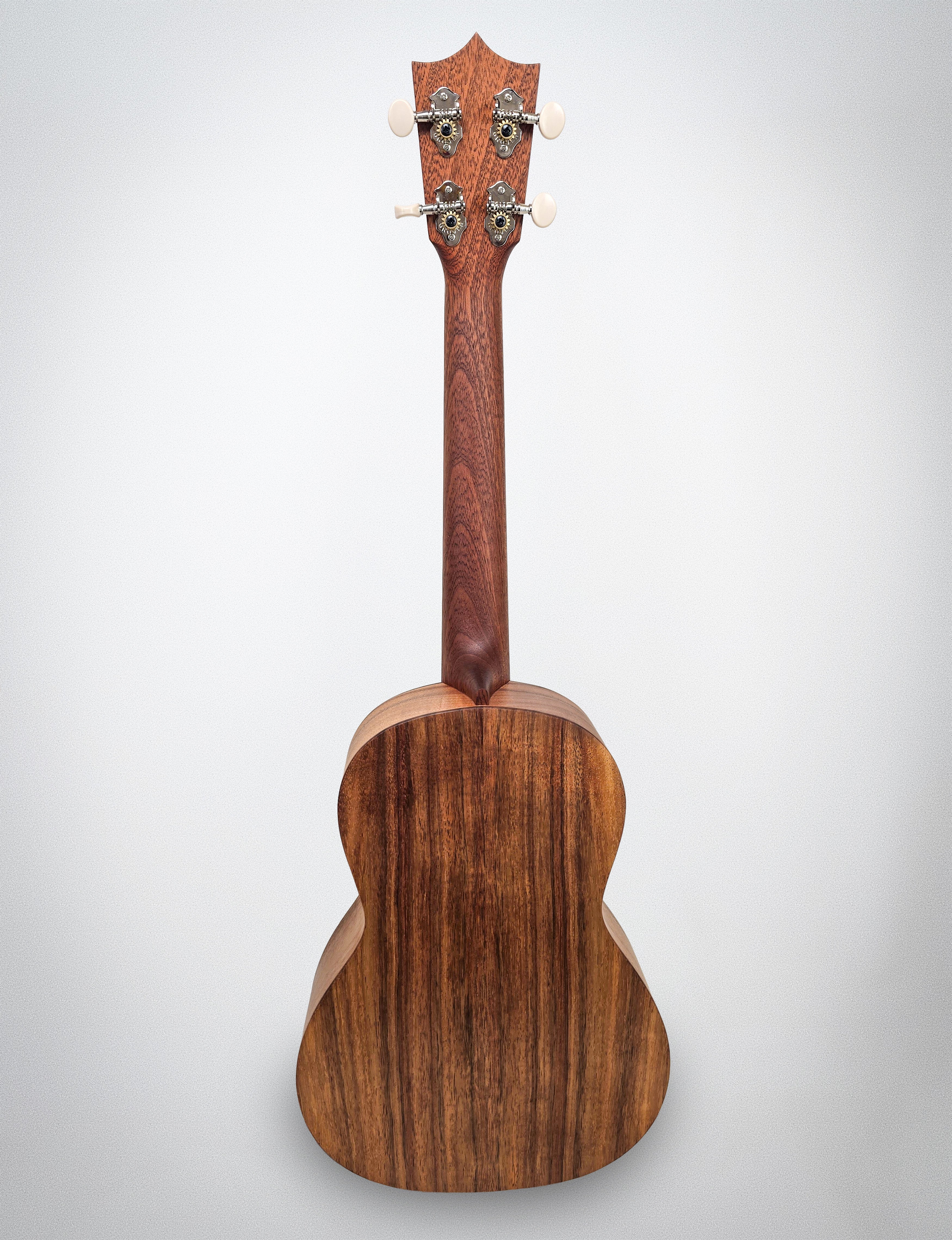 2018 Martin T1K (#20969)