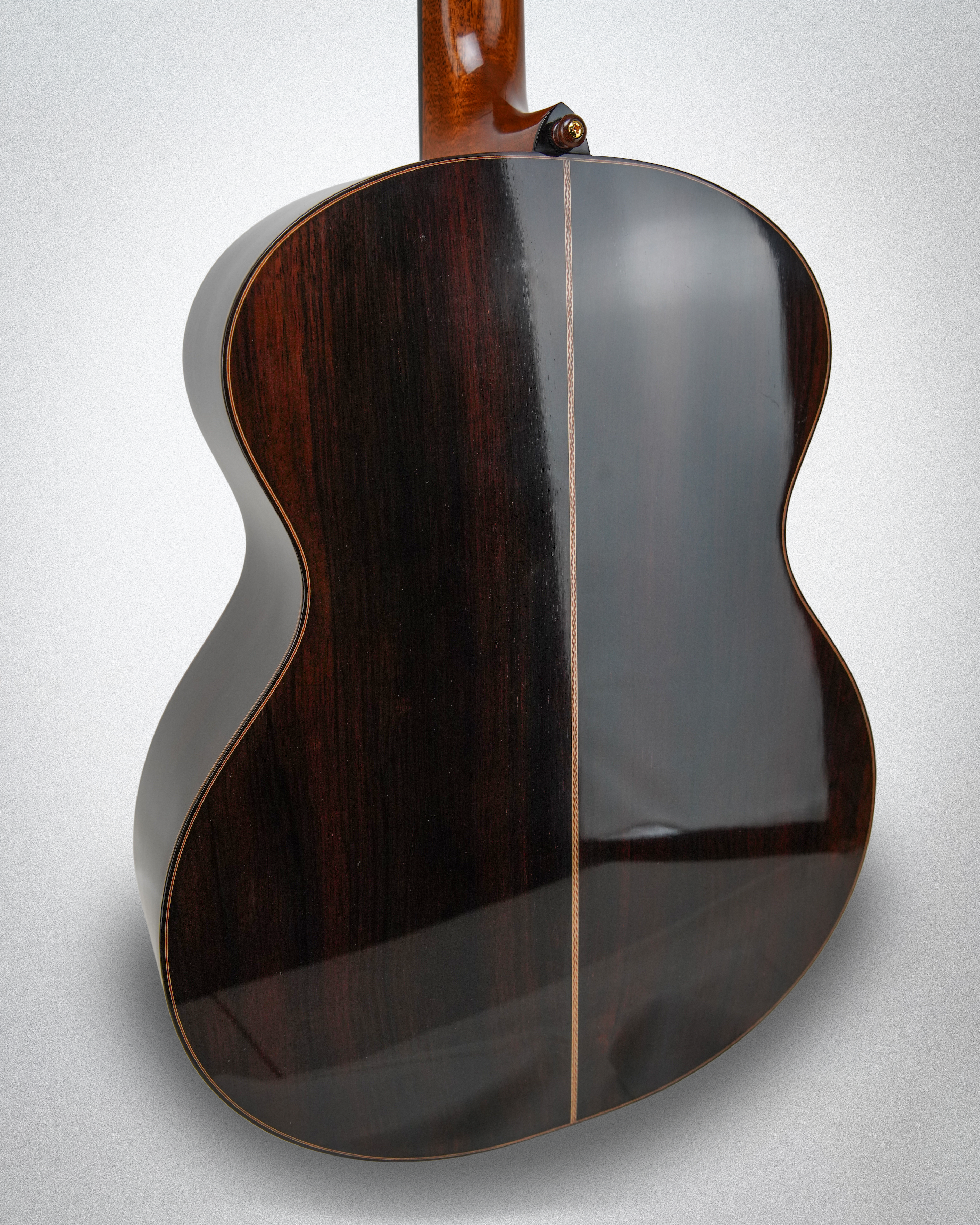 Traphagen Peacock Steel String Guitar