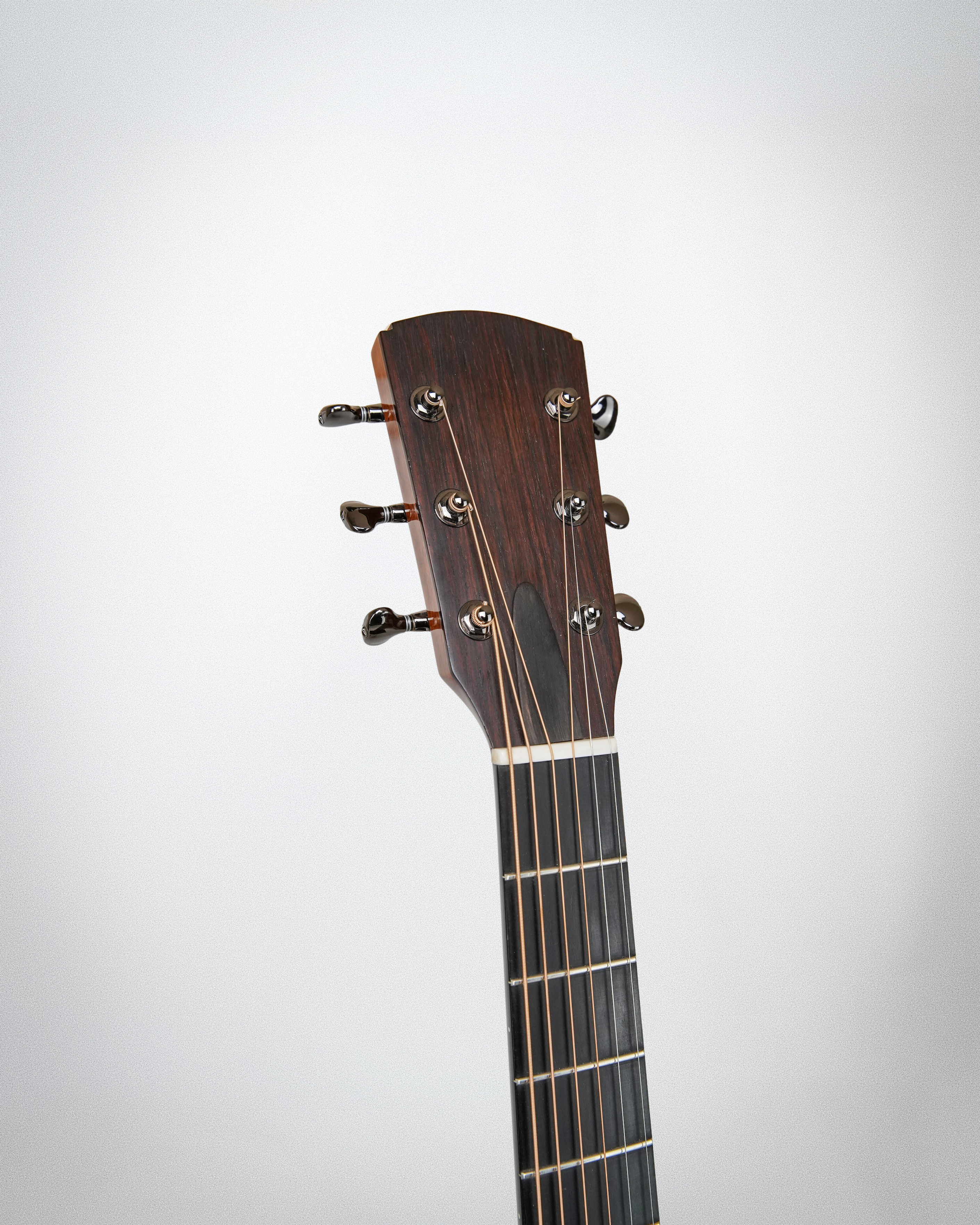 Traphagen Peacock Steel String Guitar