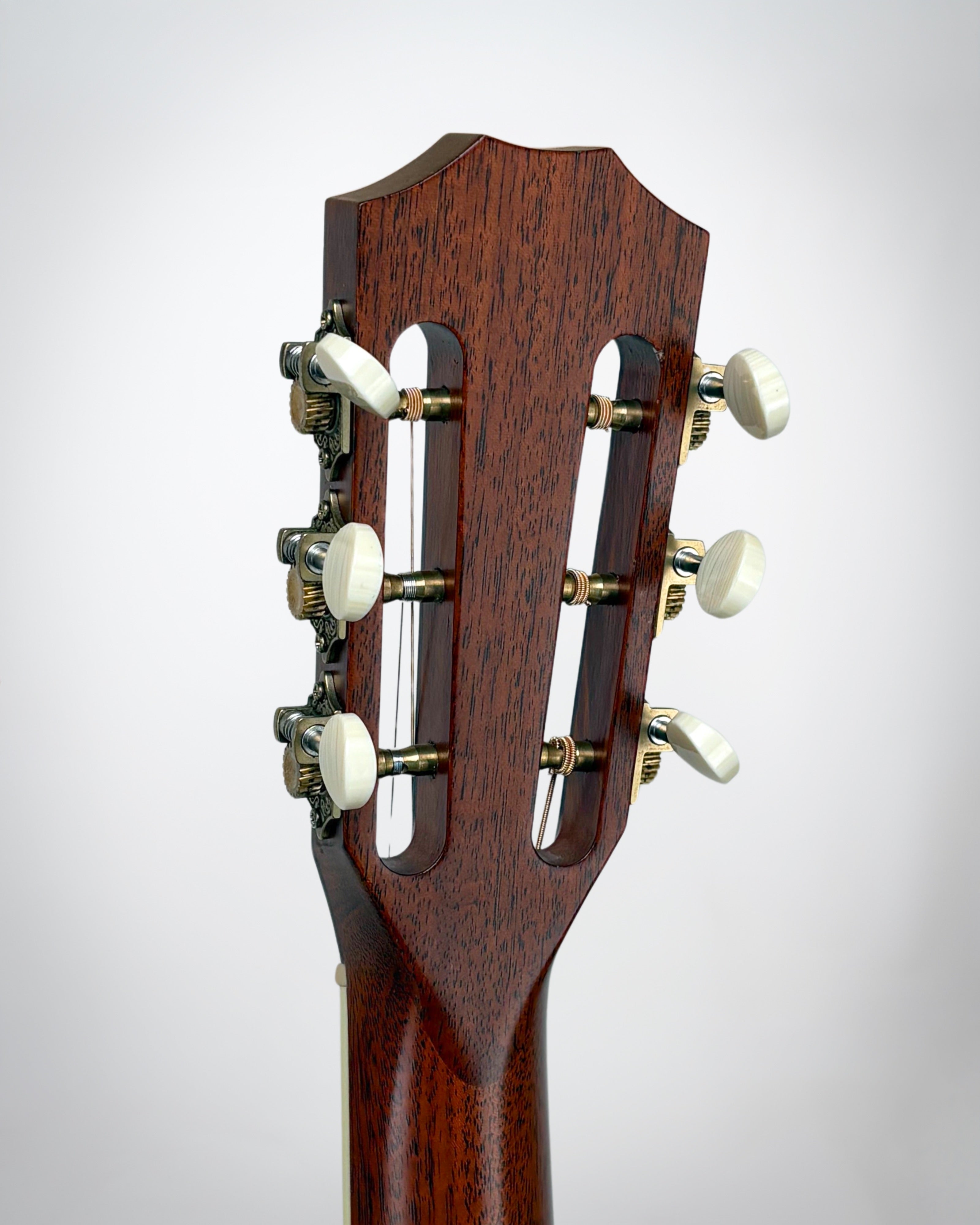 2011 Taylor 12-Fret #1103031109