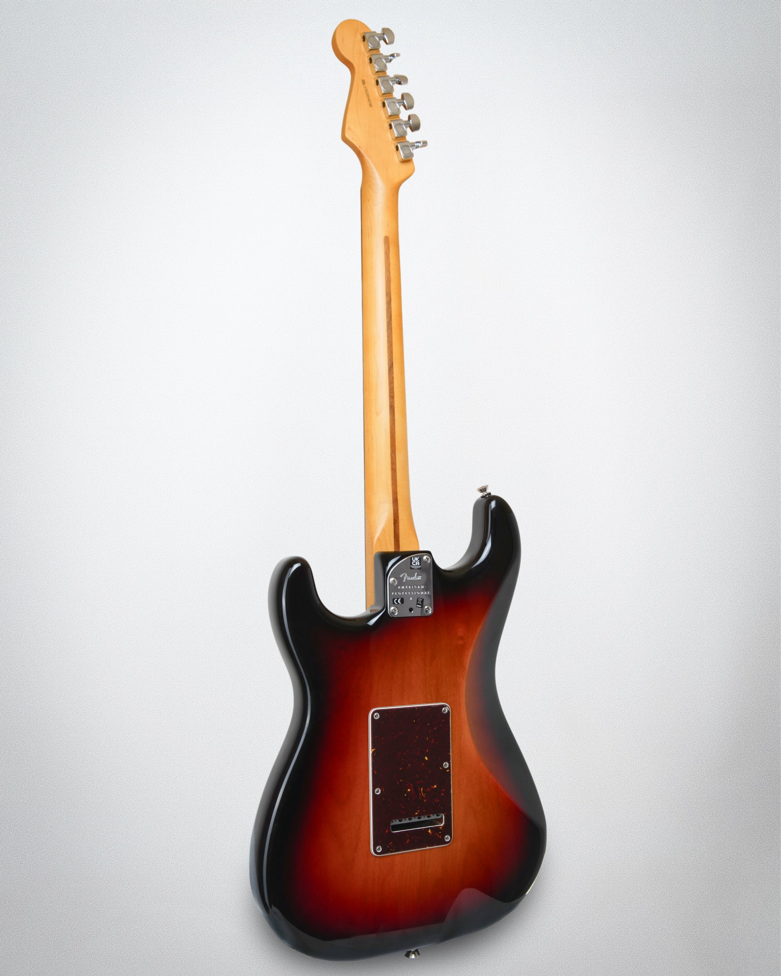 2022 Fender American Professional Stratocaster (#US22014735)