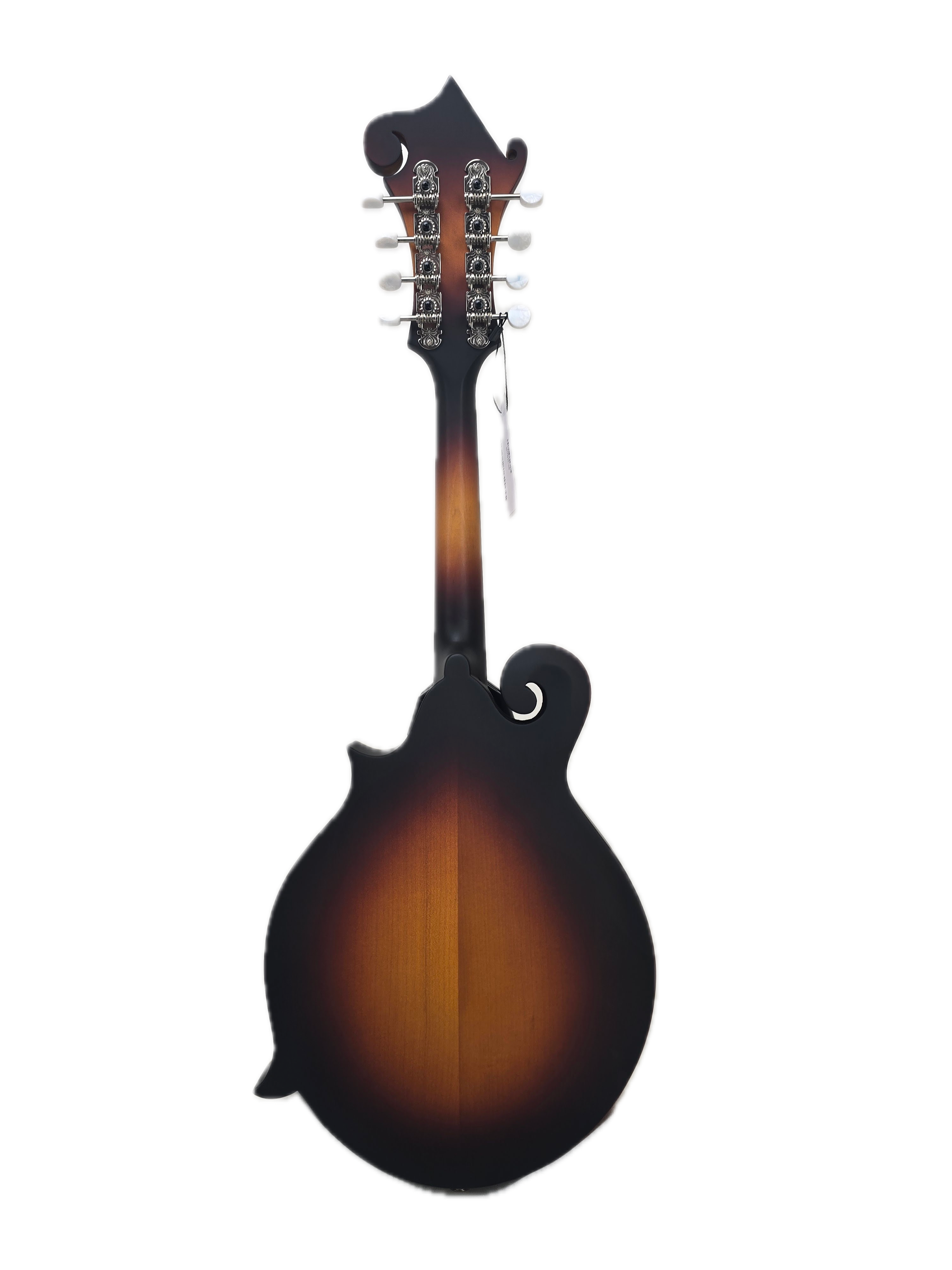 Eastman MD315E-SB, F-hole Style Mandolin (N2305529)
