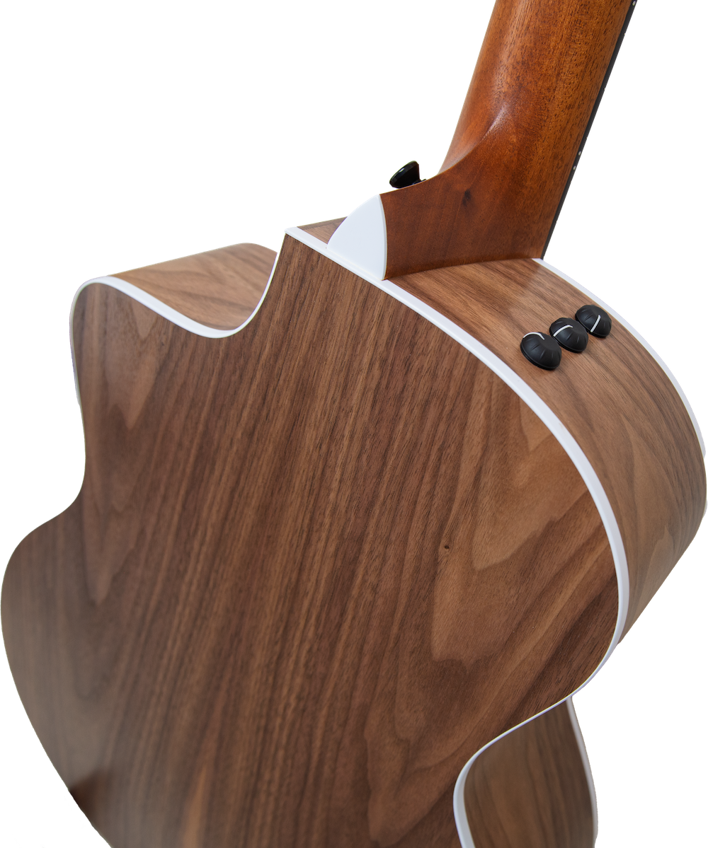 Taylor 214ce N