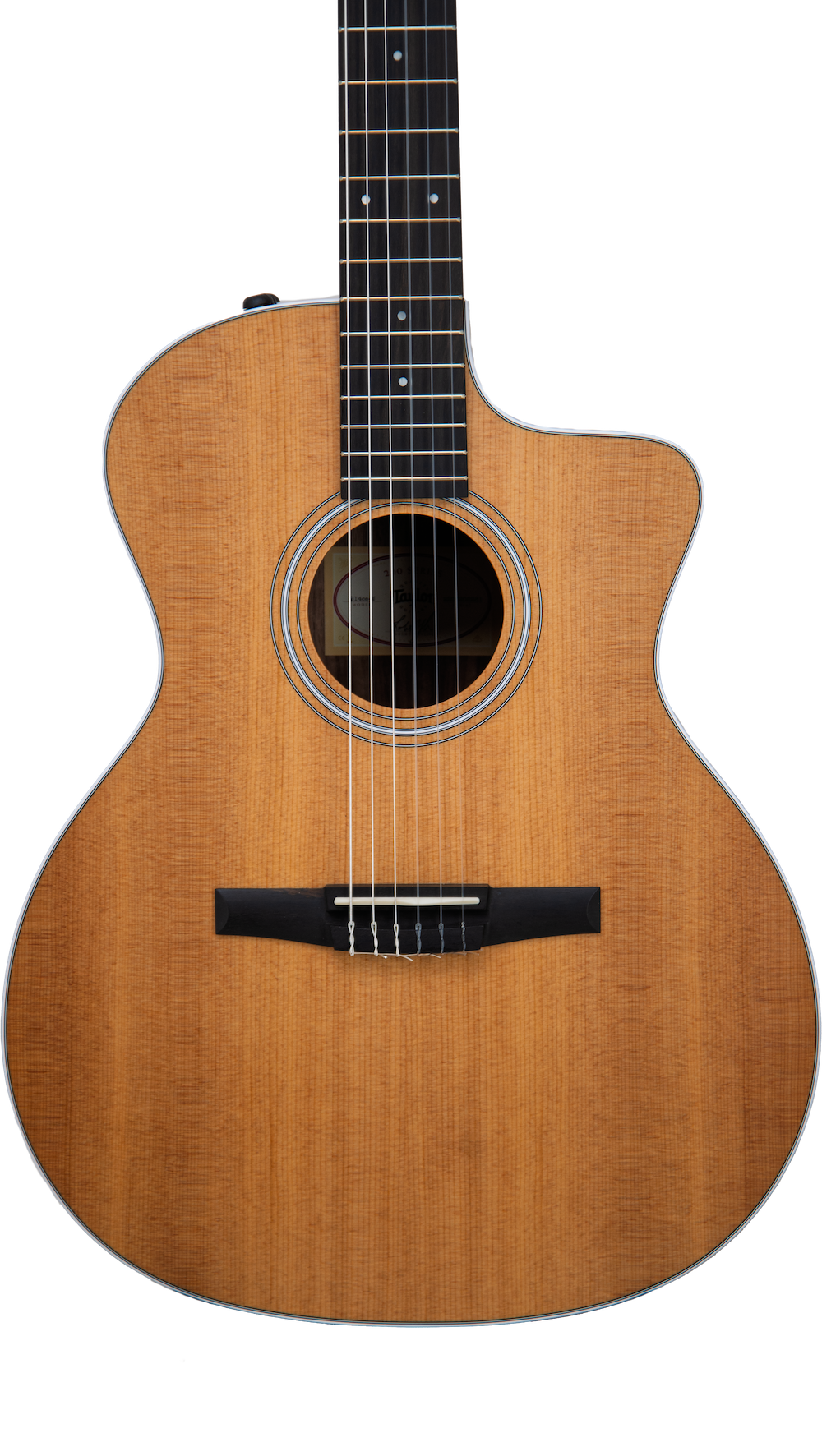 Taylor 214ce N