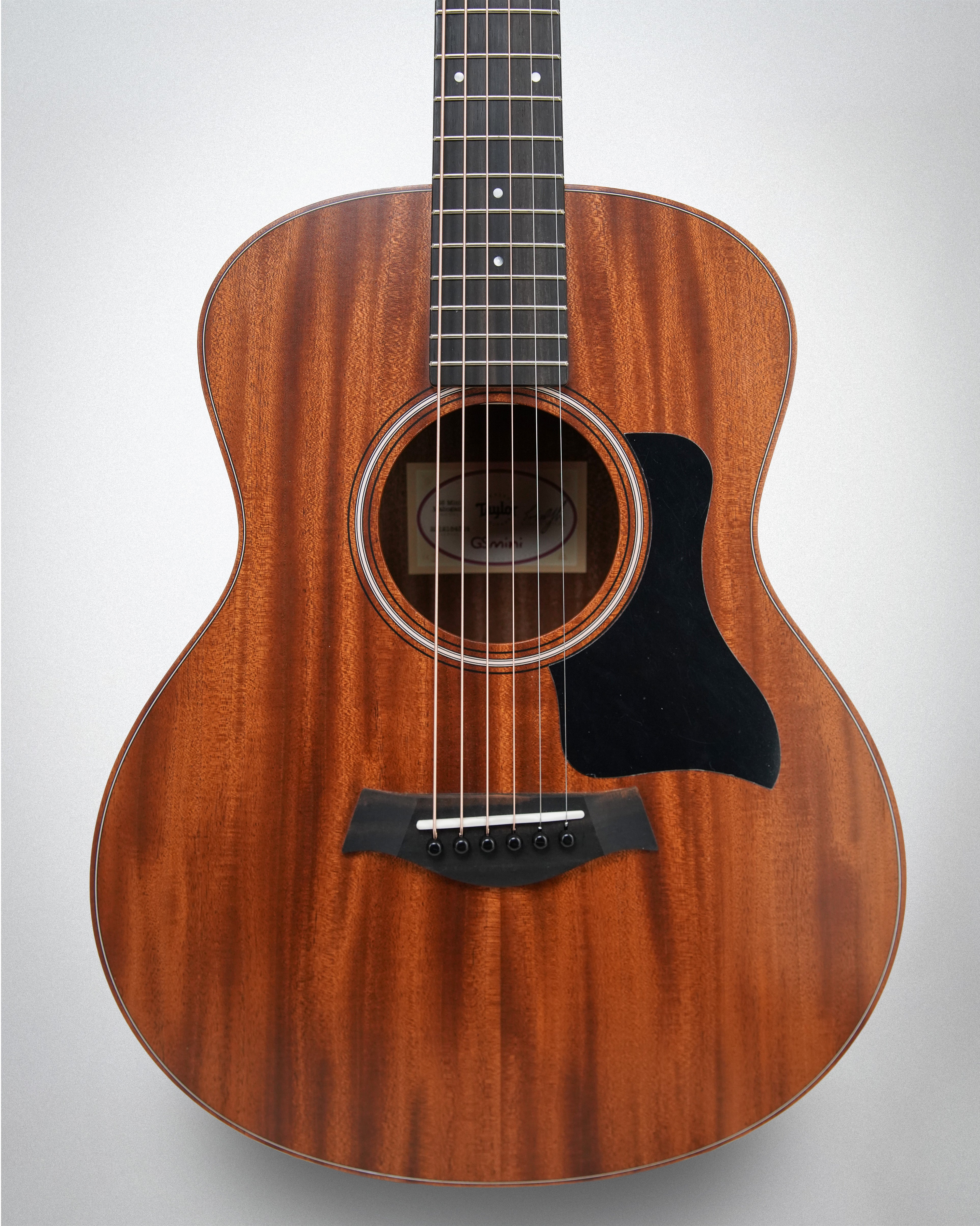 Taylor GS Mini Mahogany