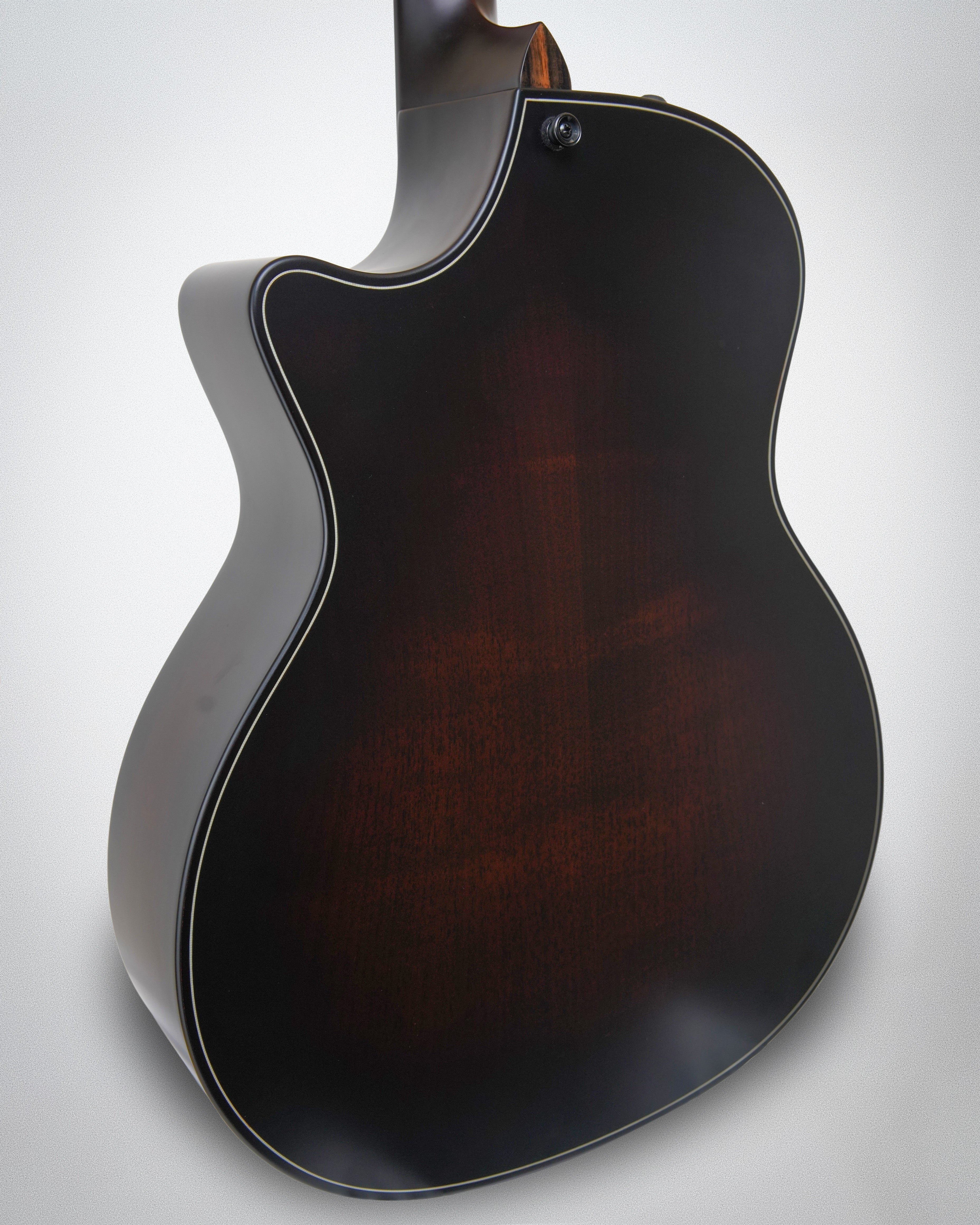 Taylor 314ce Builder's Edition LTD 50th Anniversary (#1207154028)