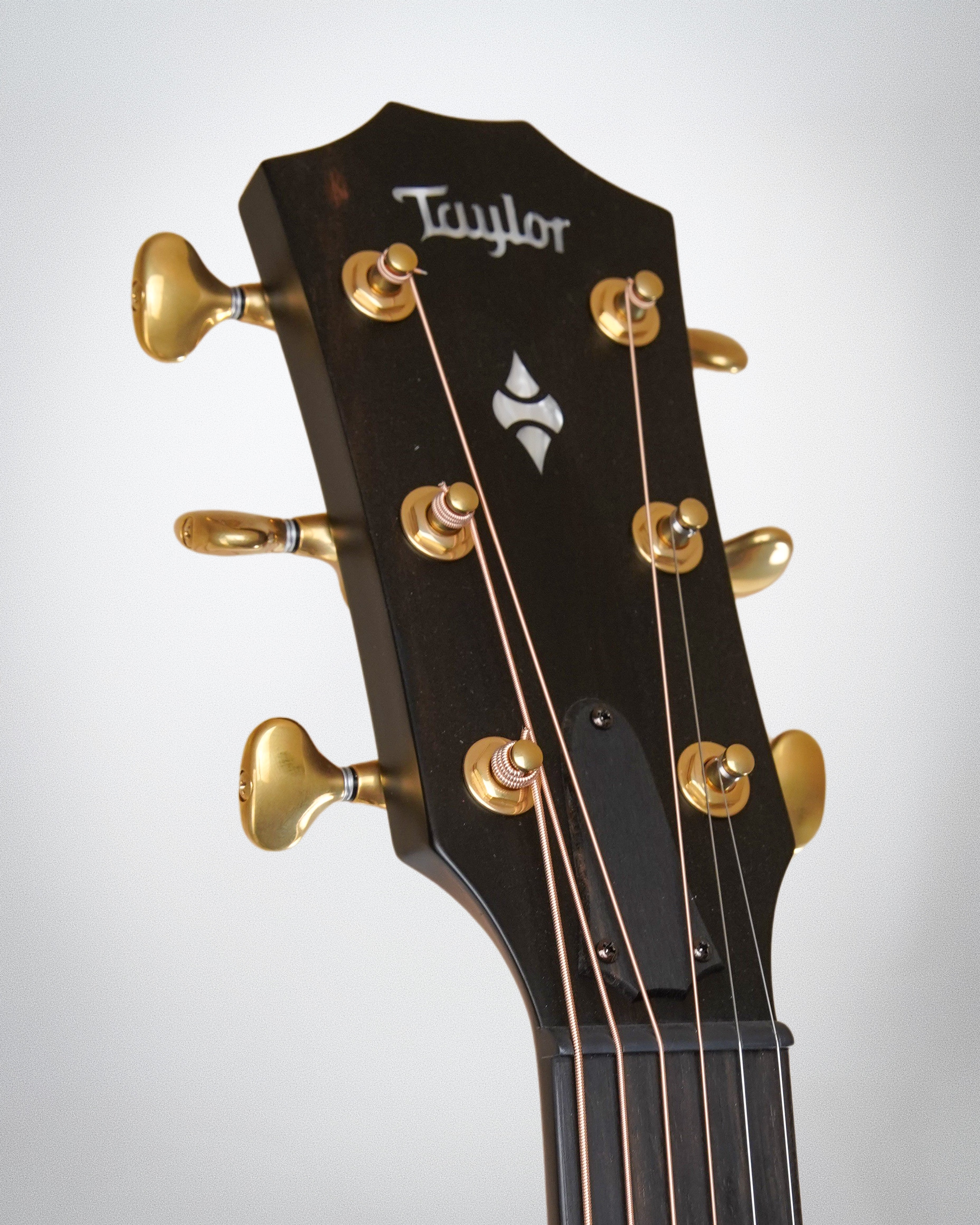 Taylor 314ce Builder's Edition LTD 50th Anniversary (#1207154028)
