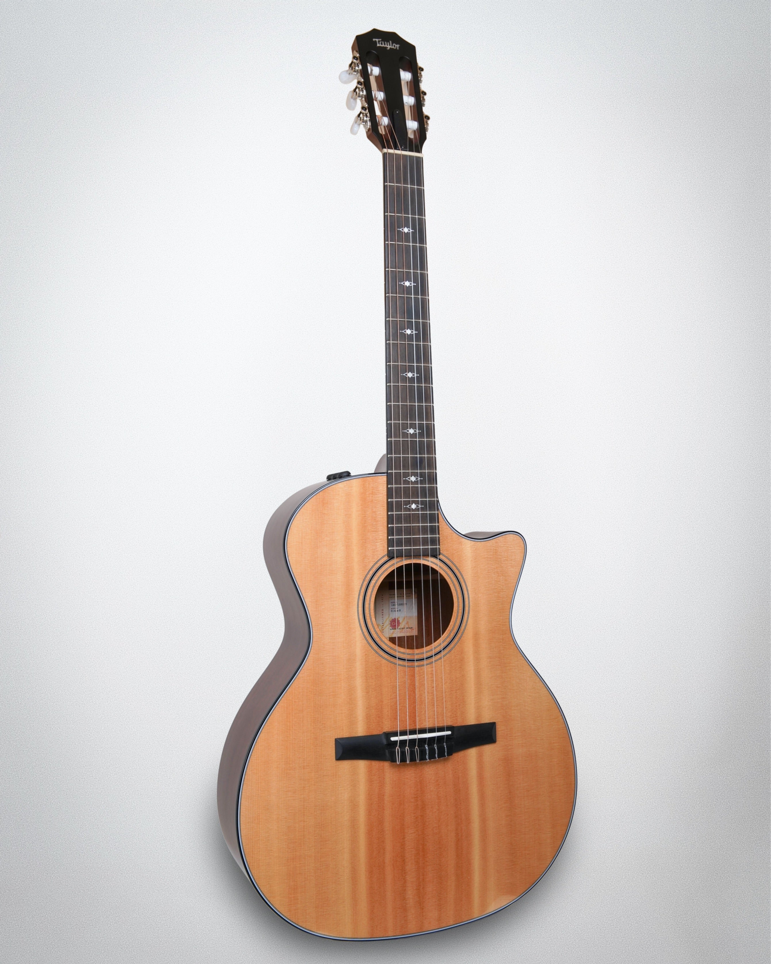 2023 Taylor 314ce-N (#1207123013)