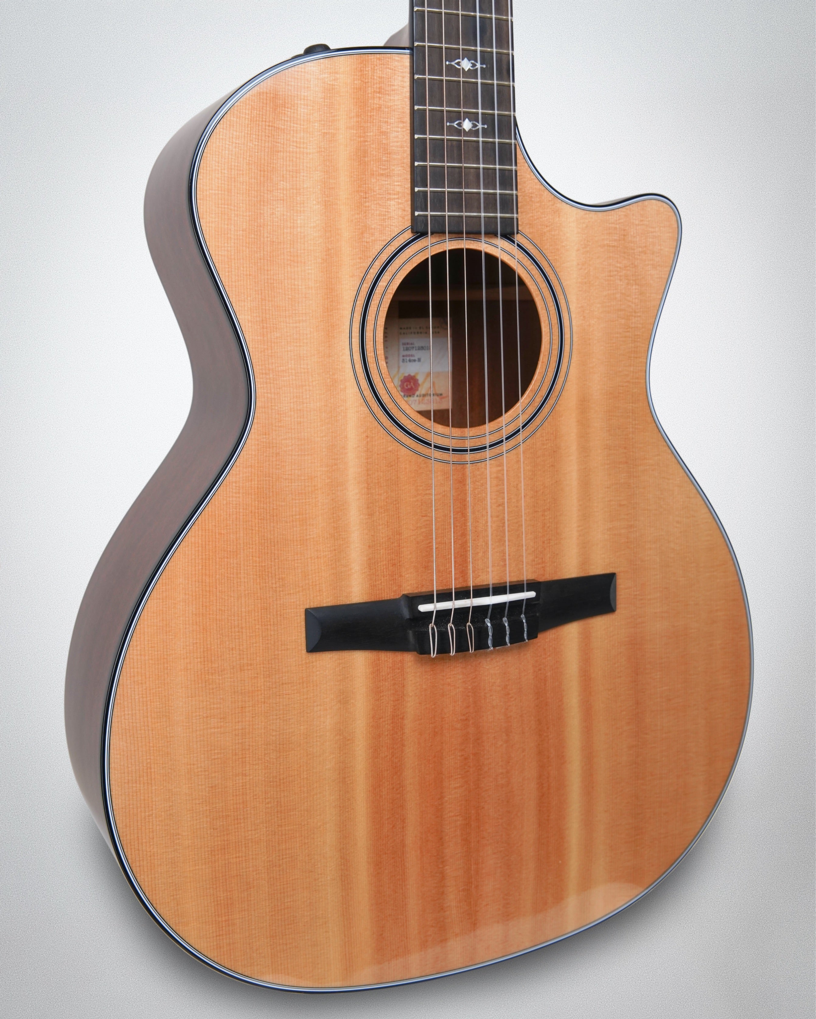 2023 Taylor 314ce-N (#1207123013)