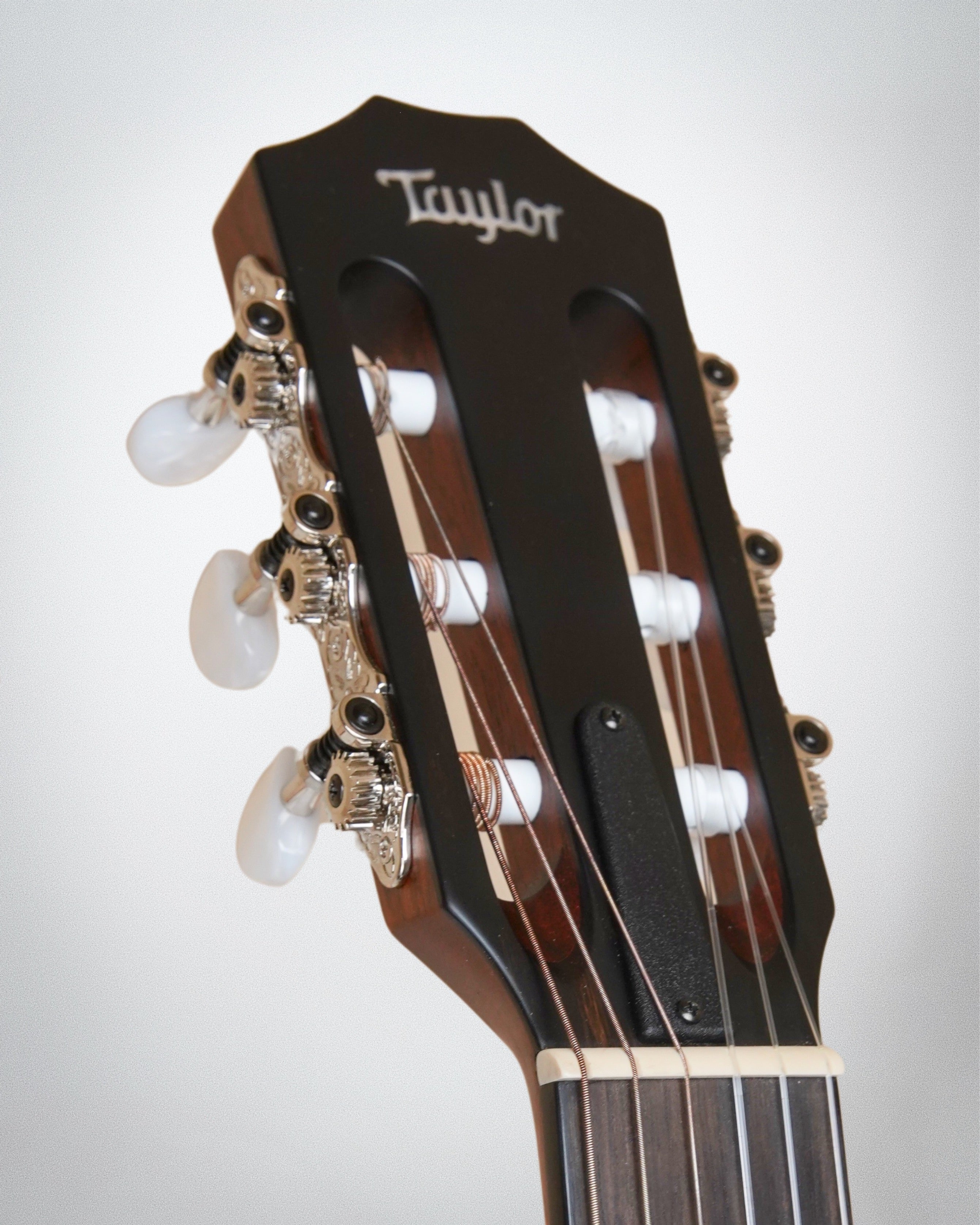 2023 Taylor 314ce-N (#1207123013)