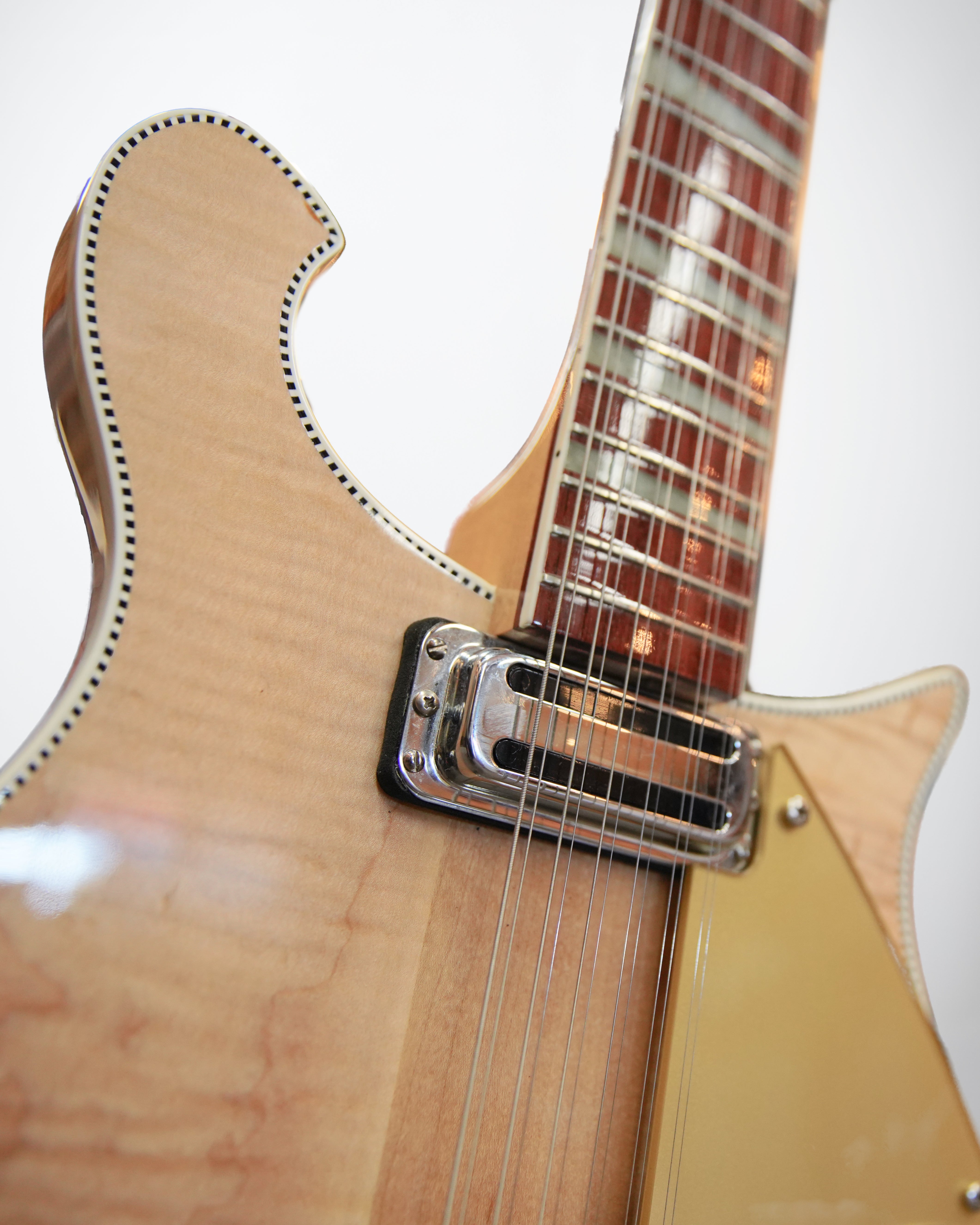 2005 Rickenbacker 660-12